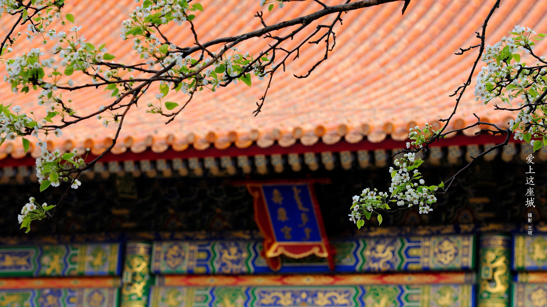 The Imperial Palace Architecture Chinese Architecture 1920x1080