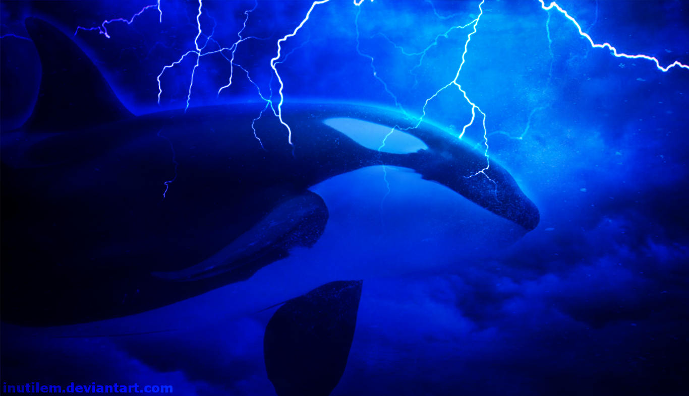 Killer Whale Lightning Orca 1366x786