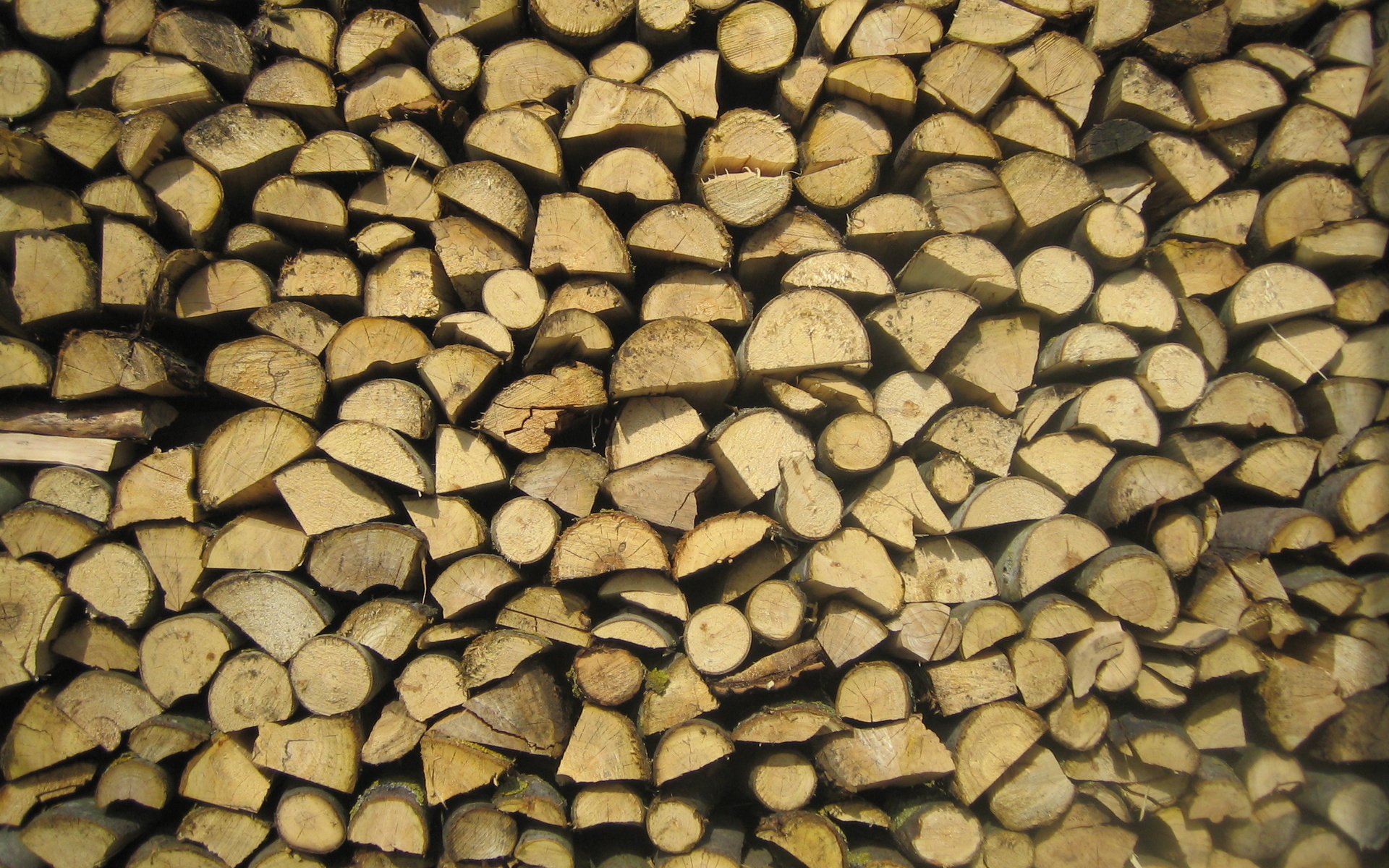 Earth Wood 1920x1200