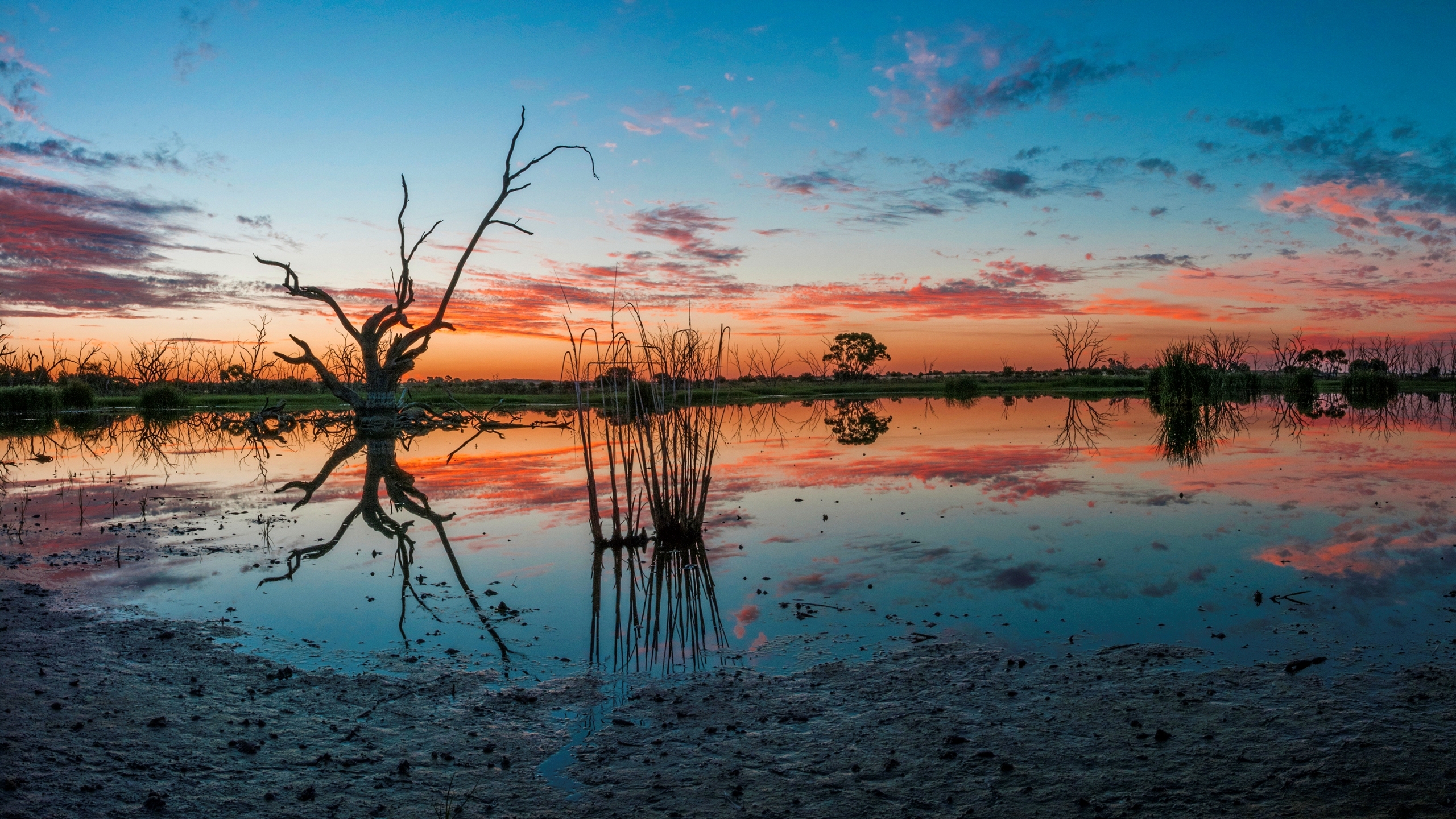 Horizon Nature Reflection Sky Sunset Swamp 2560x1440