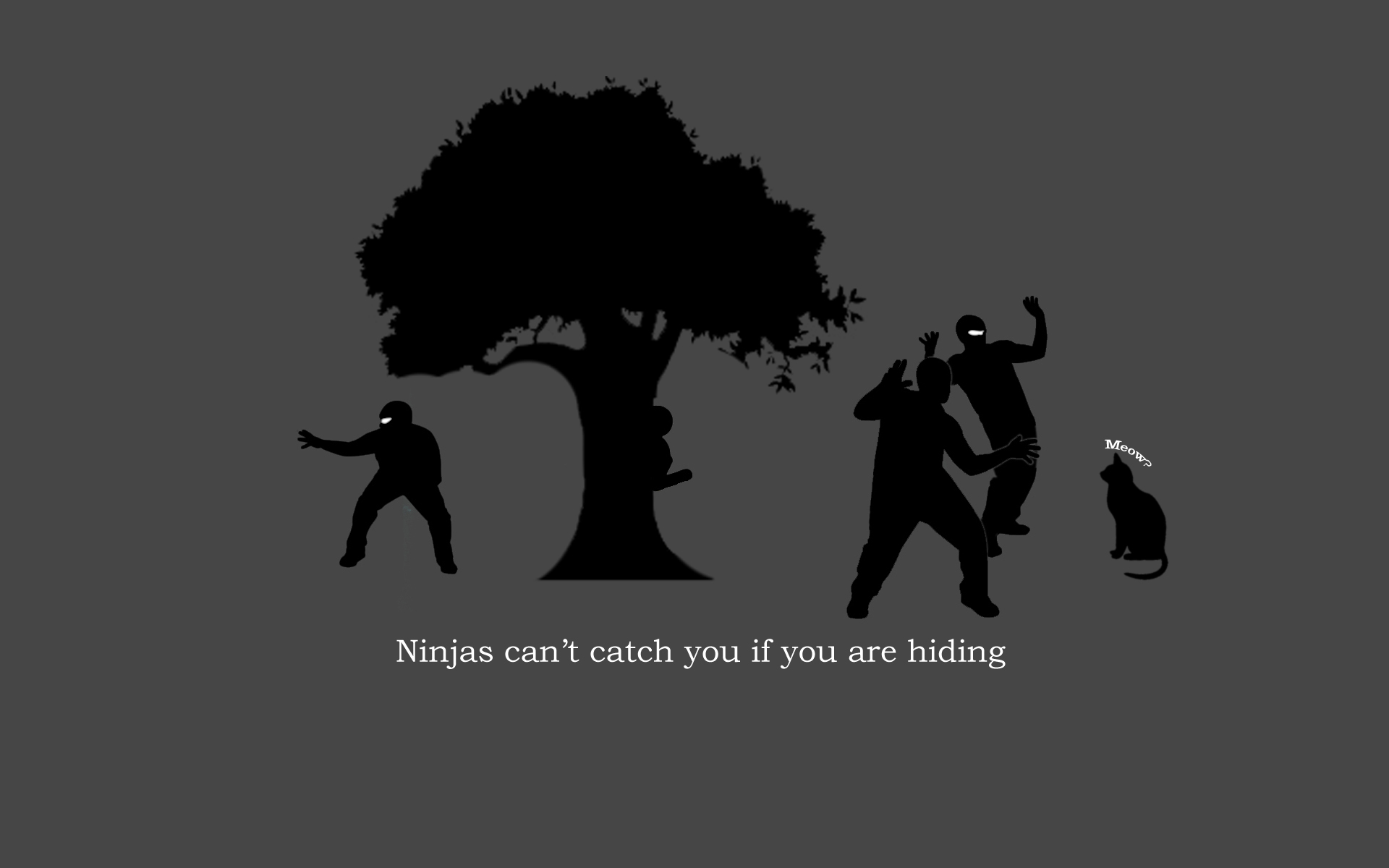 Humor Ninja 1920x1200