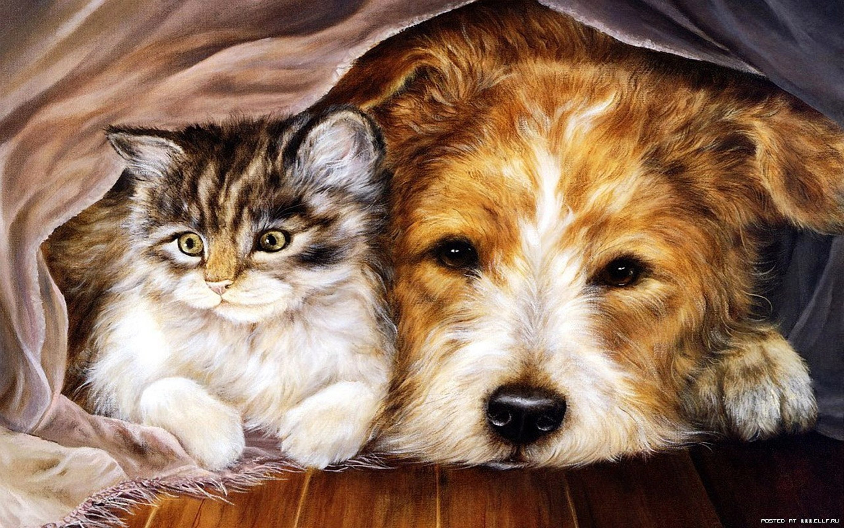 Artistic Cat Cuddle Dog Painting 2750x1719