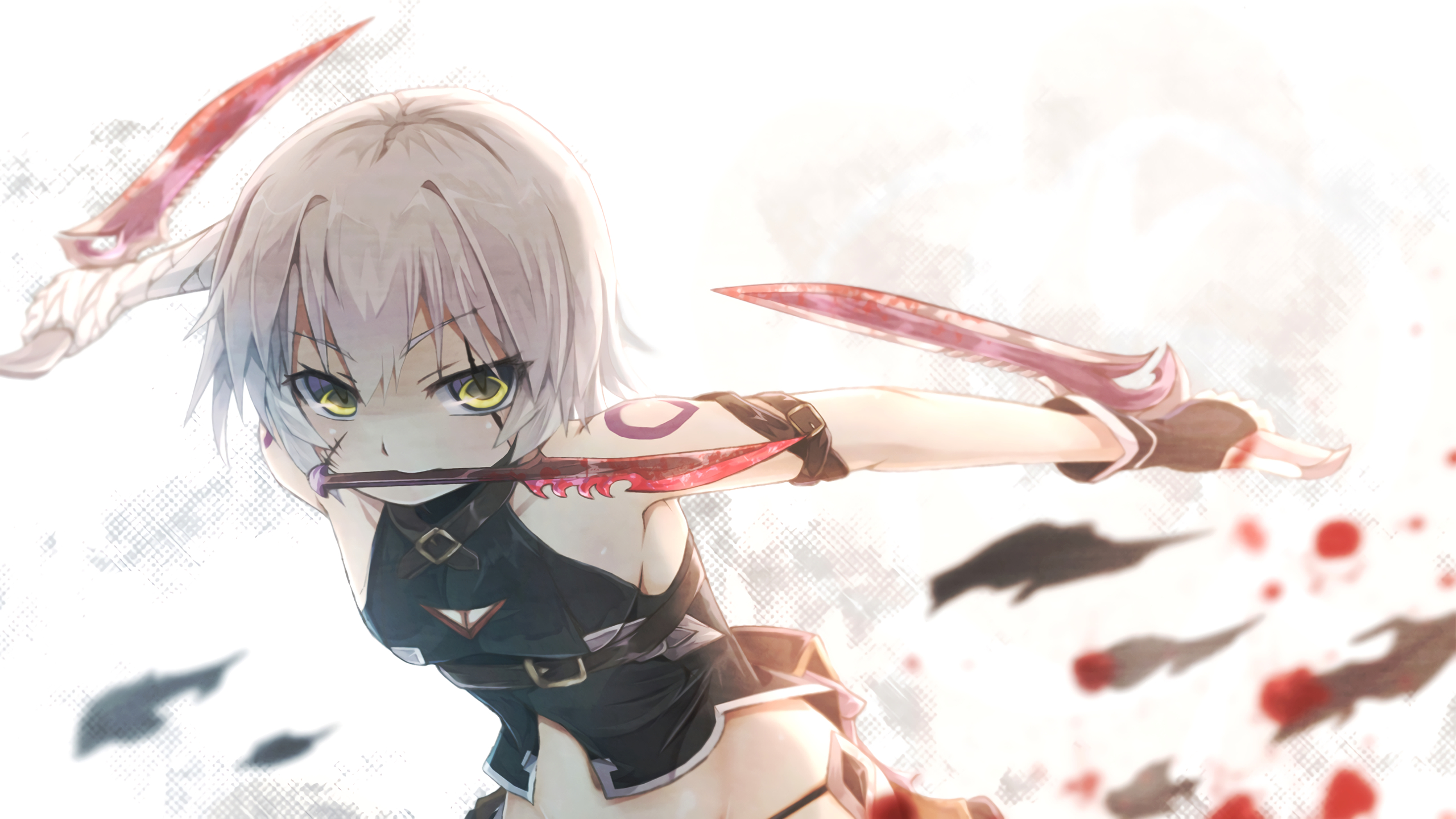 Assassin Of Black Fate Apocrypha 2560x1440