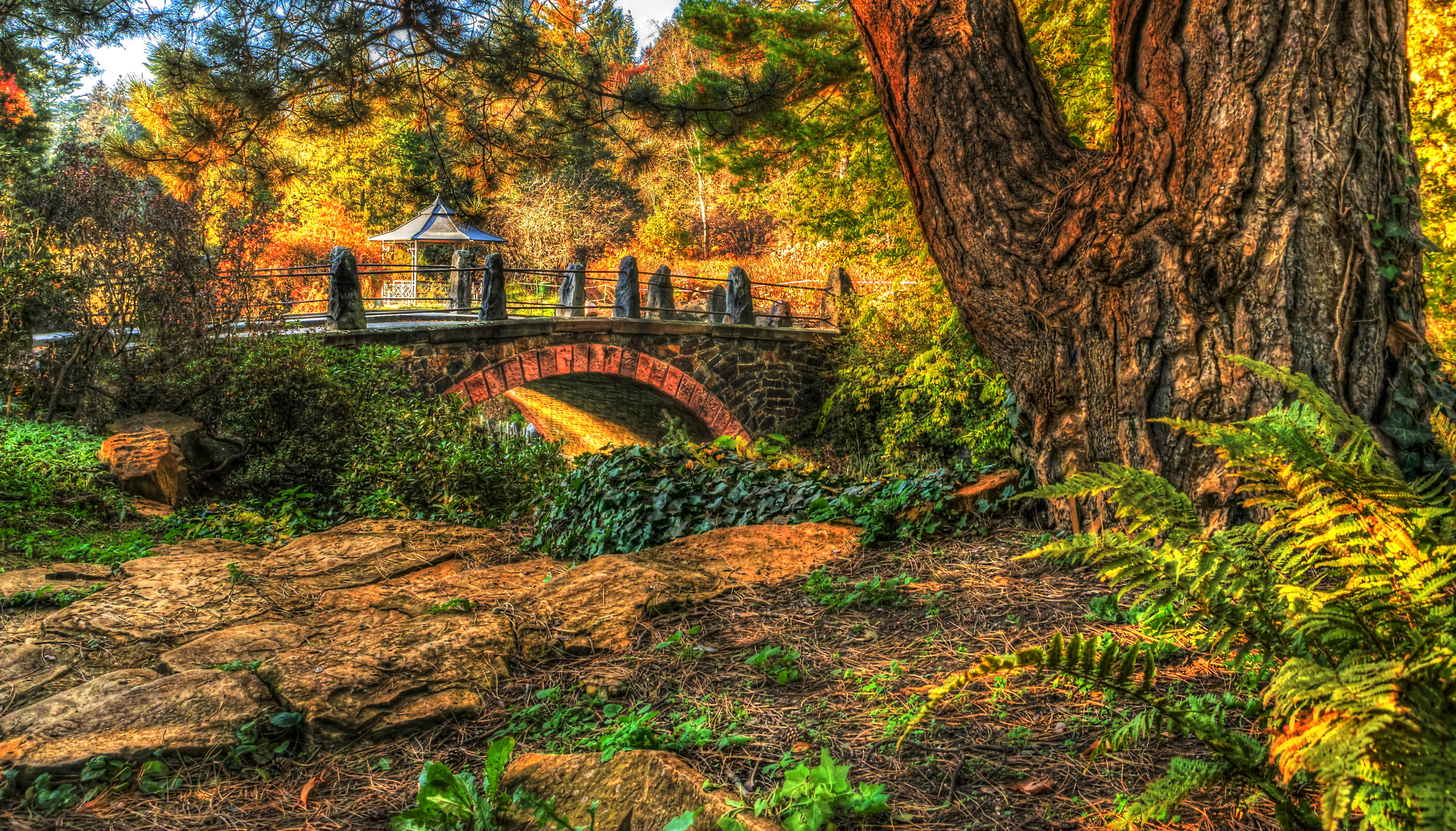 Bridge Fall Foliage Forest Gazebo Hdr Park Stone Tree 3155x1800