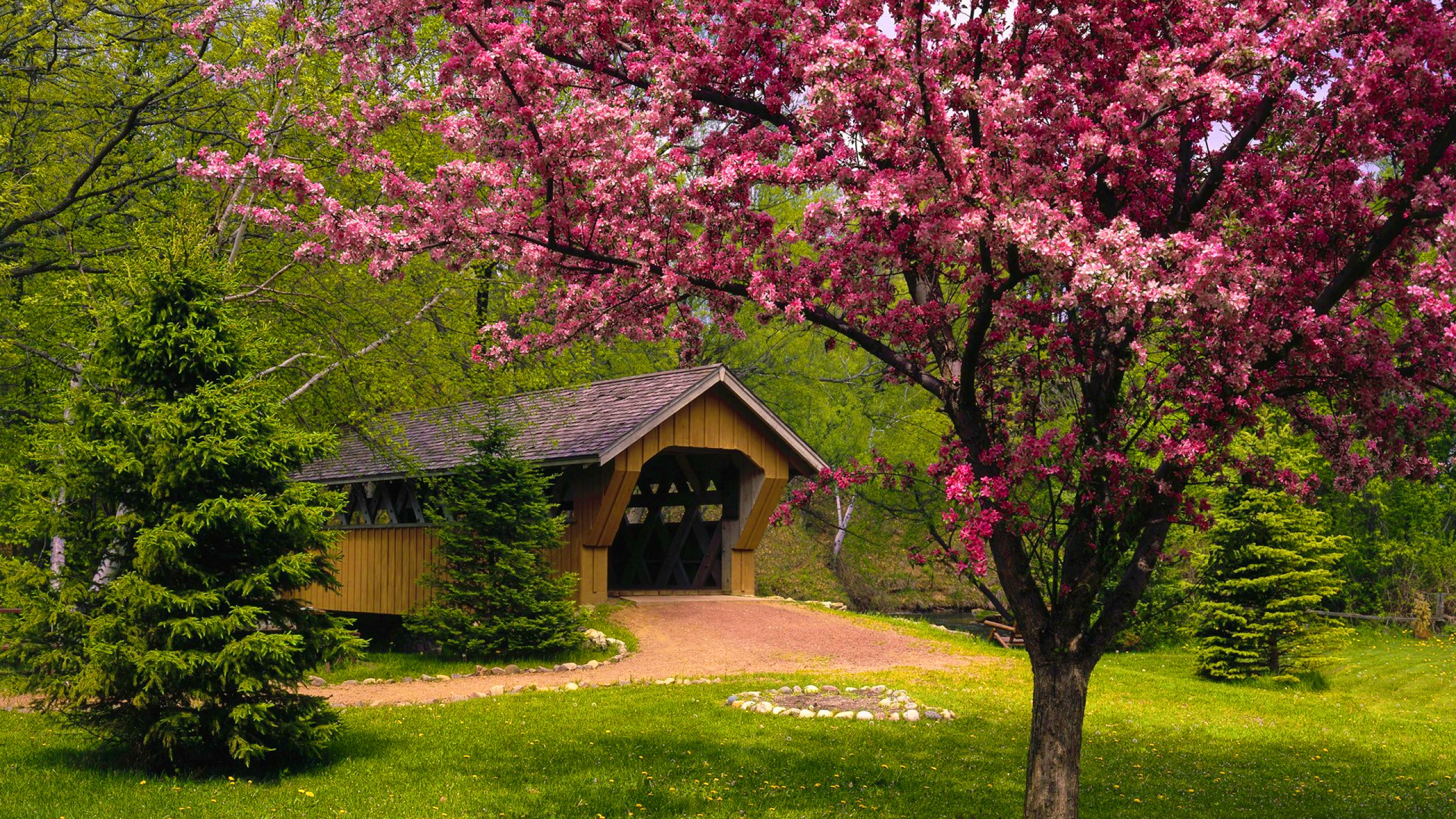 Blossom Bridge Covered Bridge Pink Flower Spring Tree 2560x1440