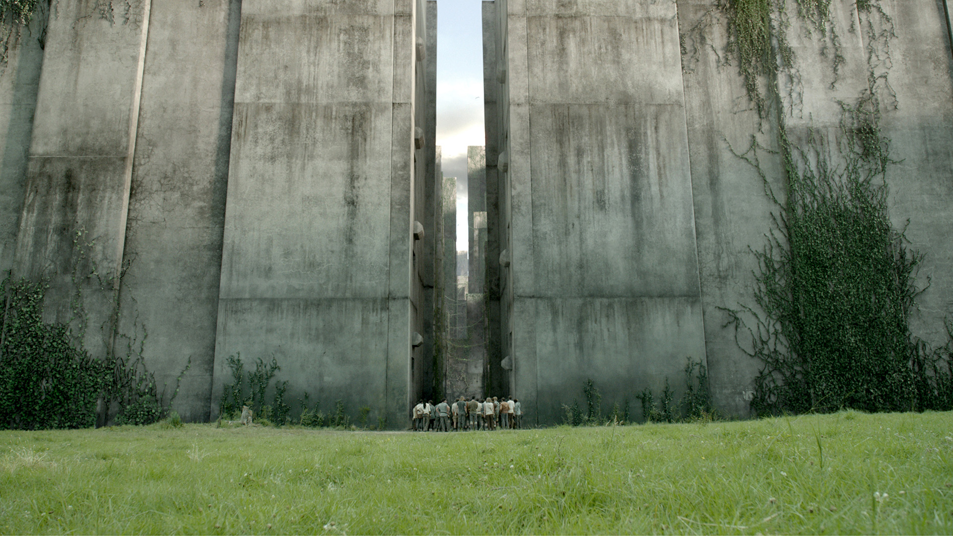 Movie The Maze Runner 1920x1080