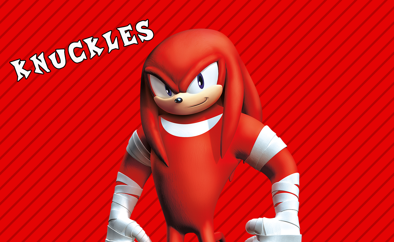 Knuckles The Echidna 1300x800