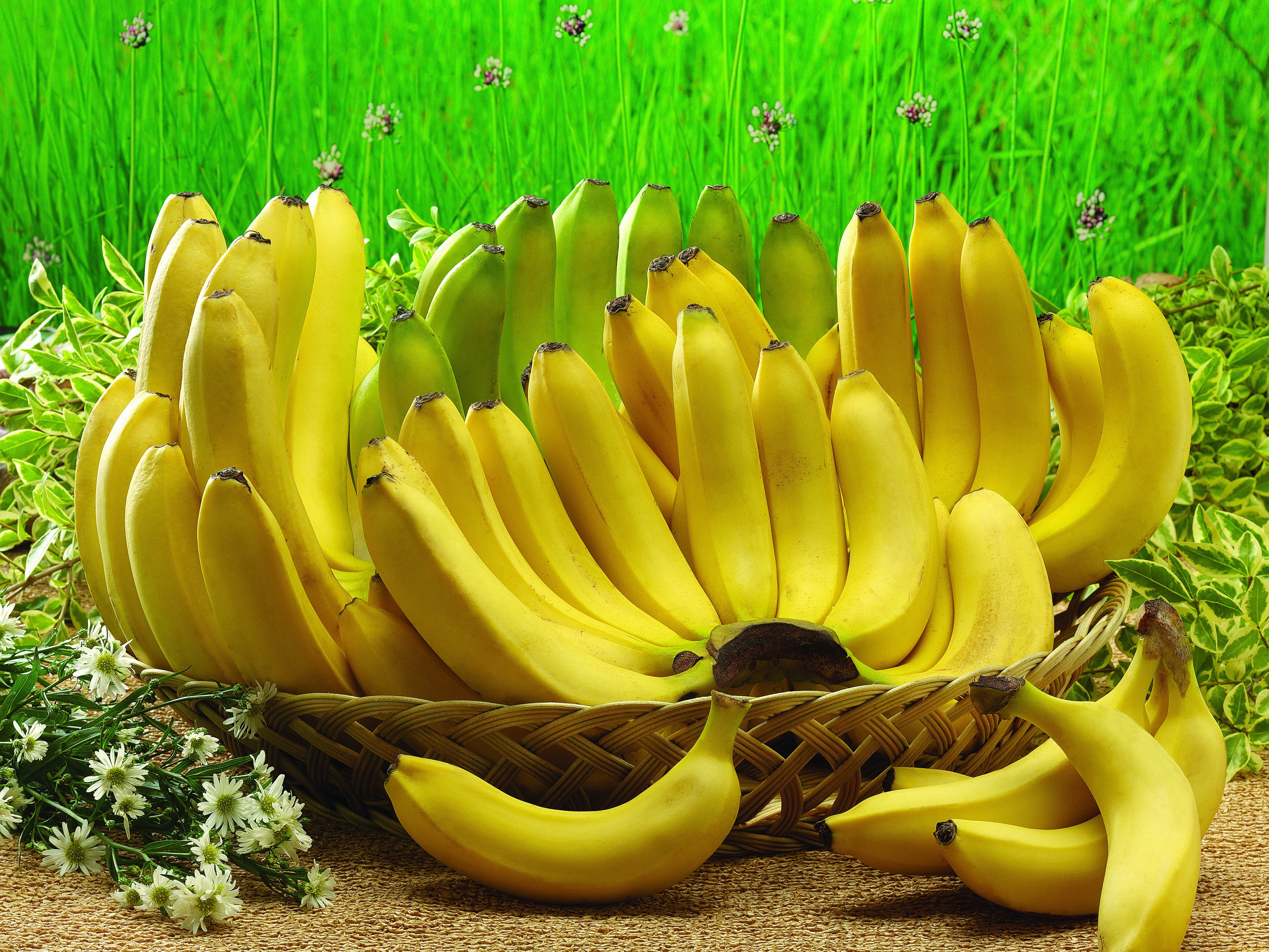 Food Banana 4896x3672