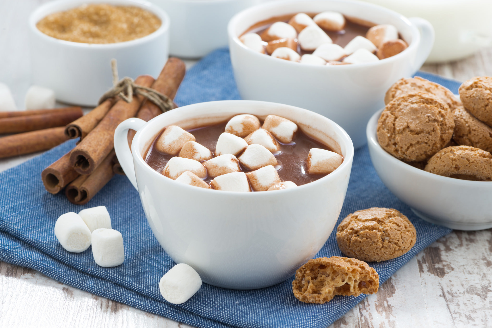 Cinnamon Cookie Cup Hot Chocolate Marshmallow 2048x1367