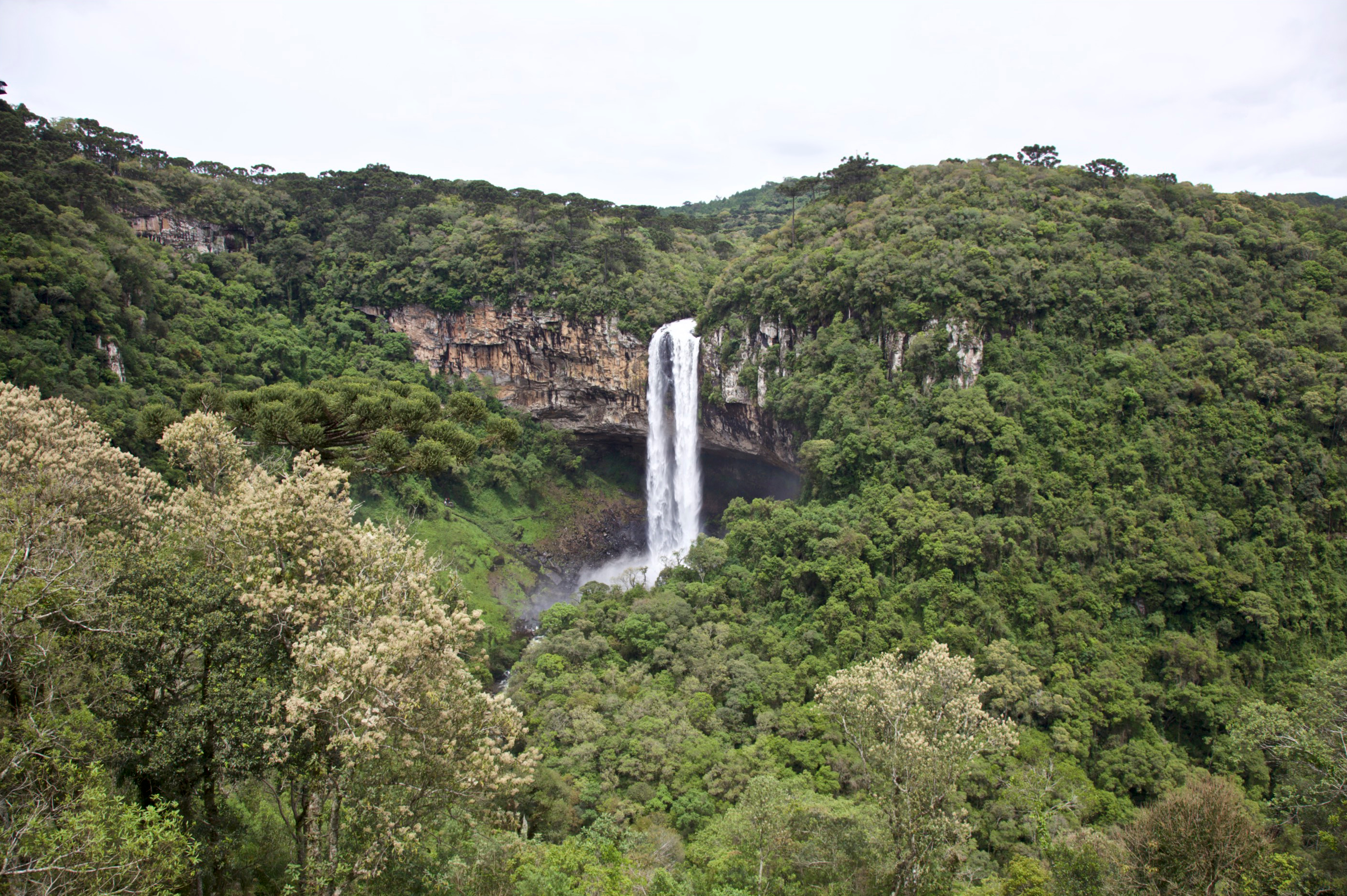Brazil Caracol Falls Forest Nature Waterfall 2799x1862
