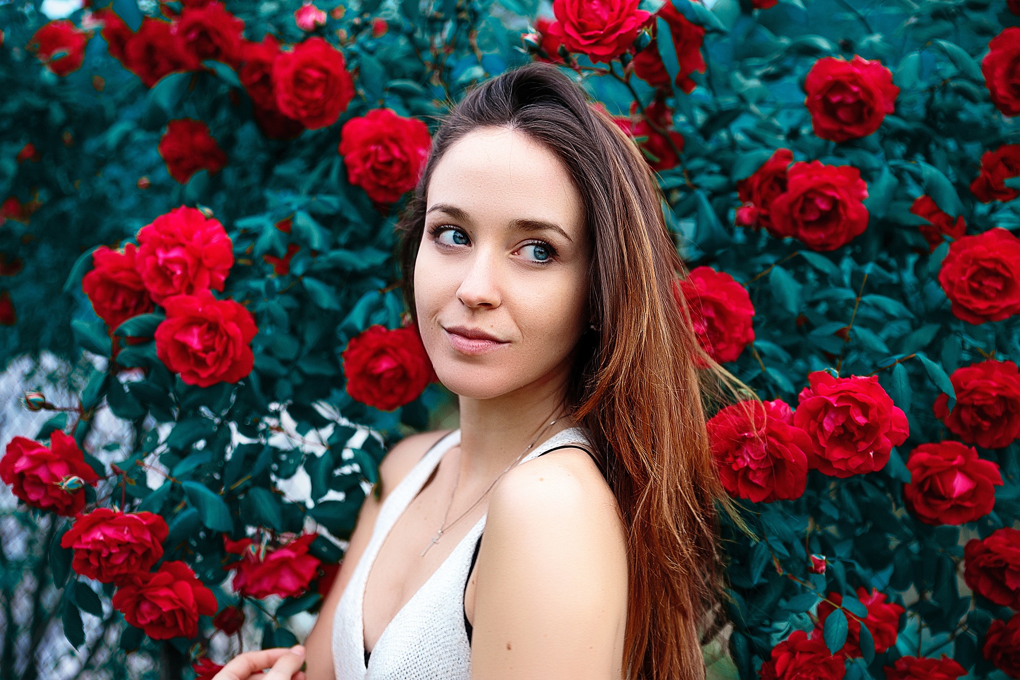 Blue Eyes Brunette Flower Girl Model Red Rose Rose Bush Woman 2000x1333