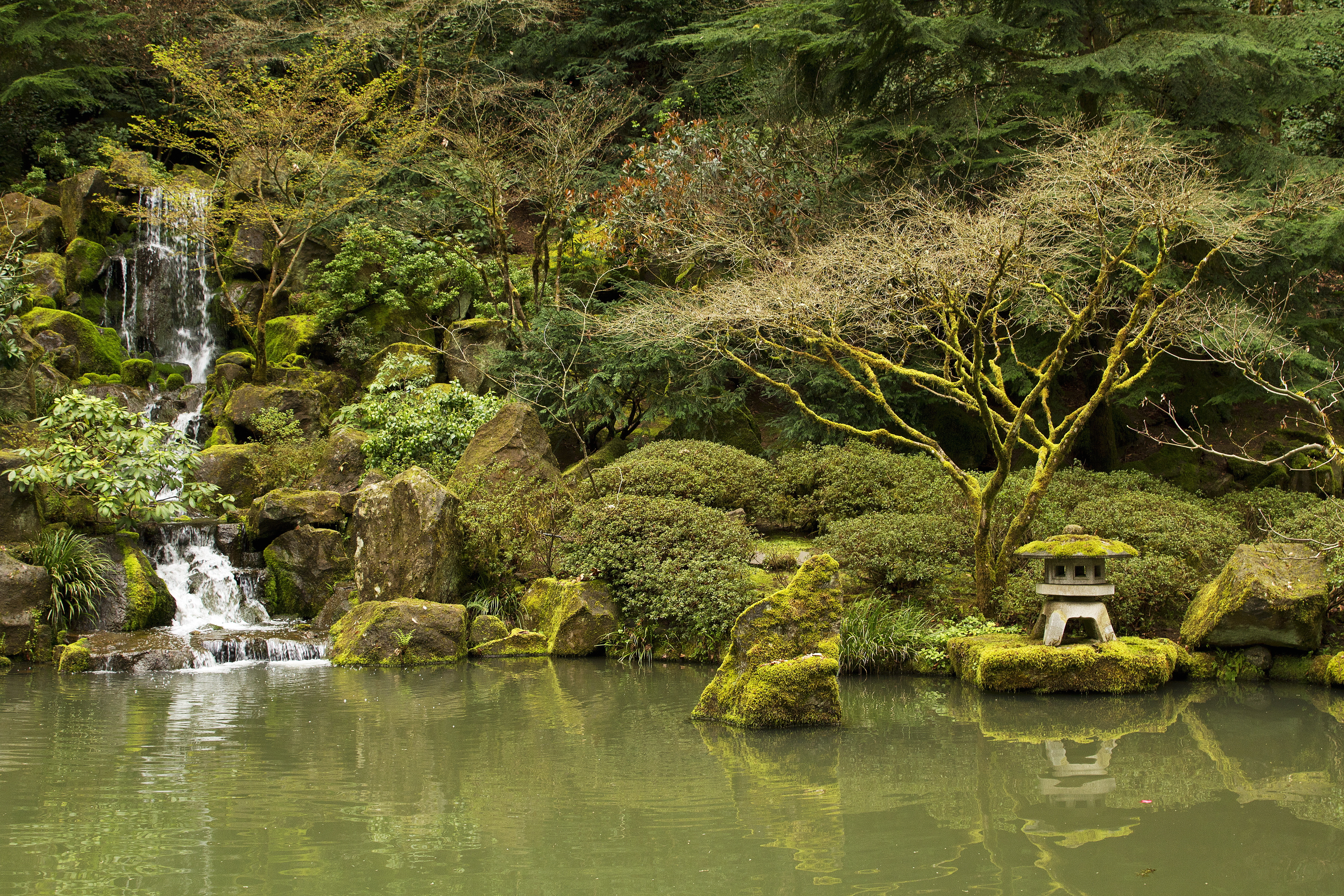 Garden Japanese Garden Nature Pond Rock Tree Waterfall 5184x3456