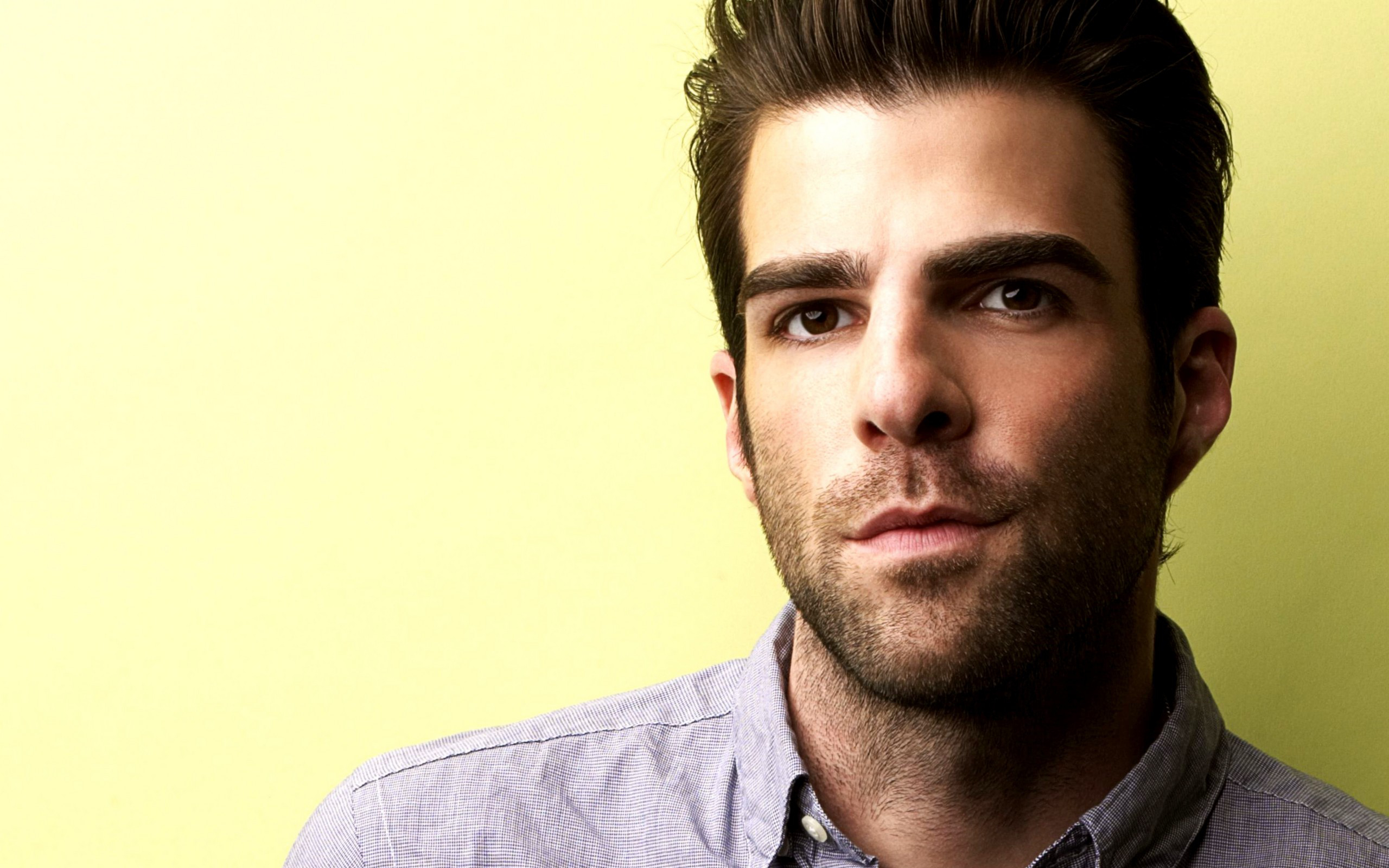 Actor American Zachary Quinto 2560x1600