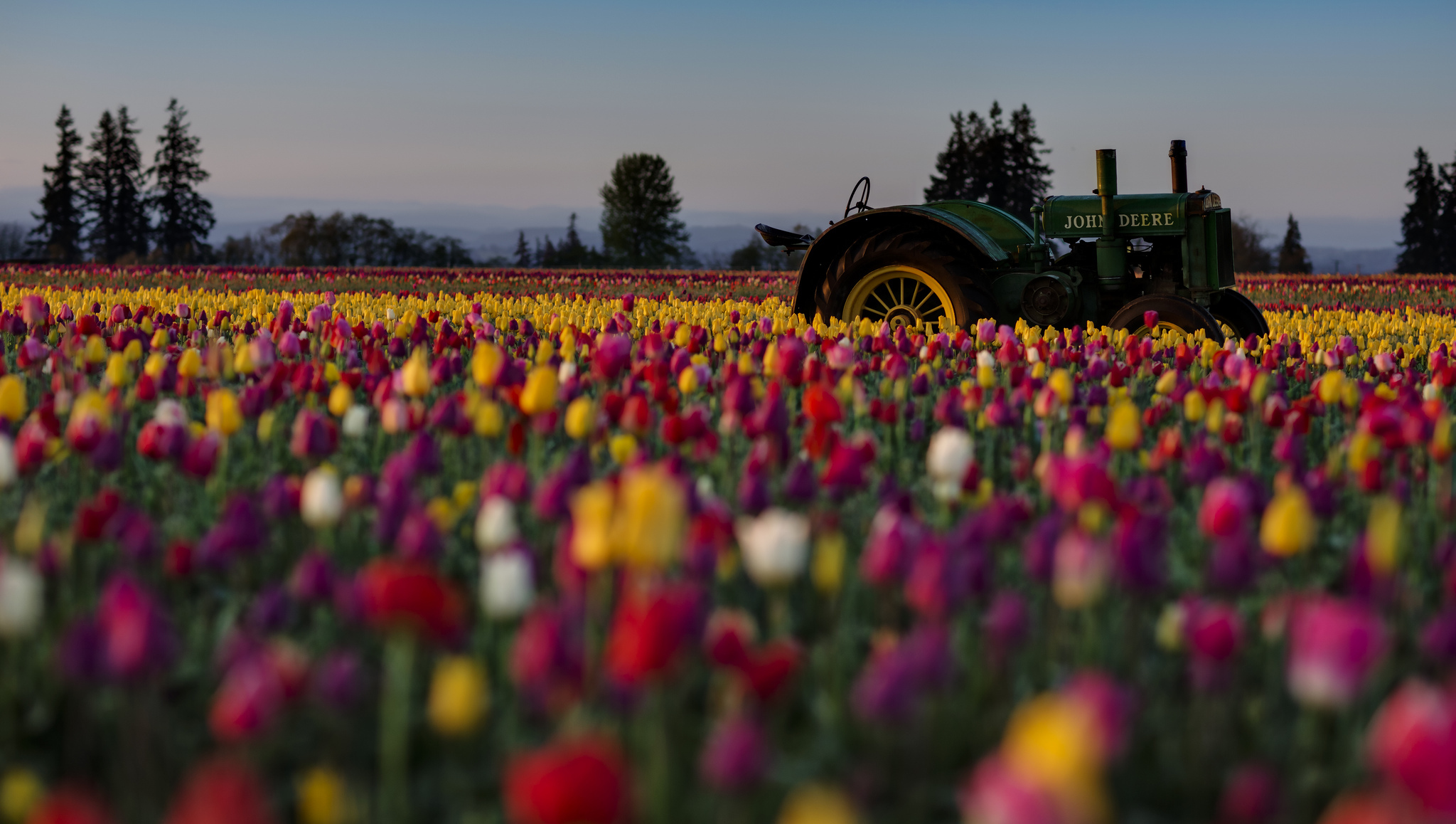 Colorful Field Flower John Deere Tractor Tulip 2048x1158