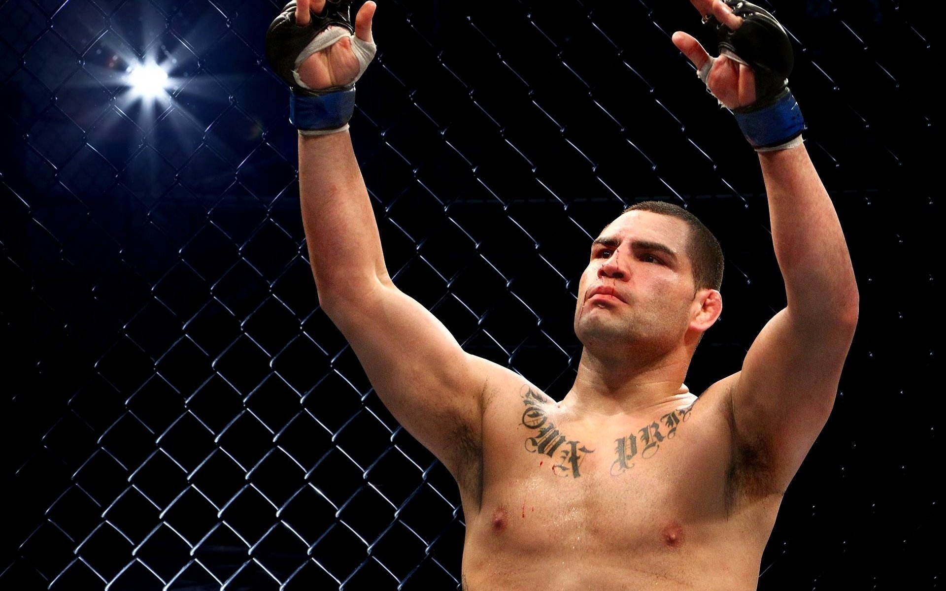 Cain Velasquez Mma Ultimate Fighting Championship 1920x1200