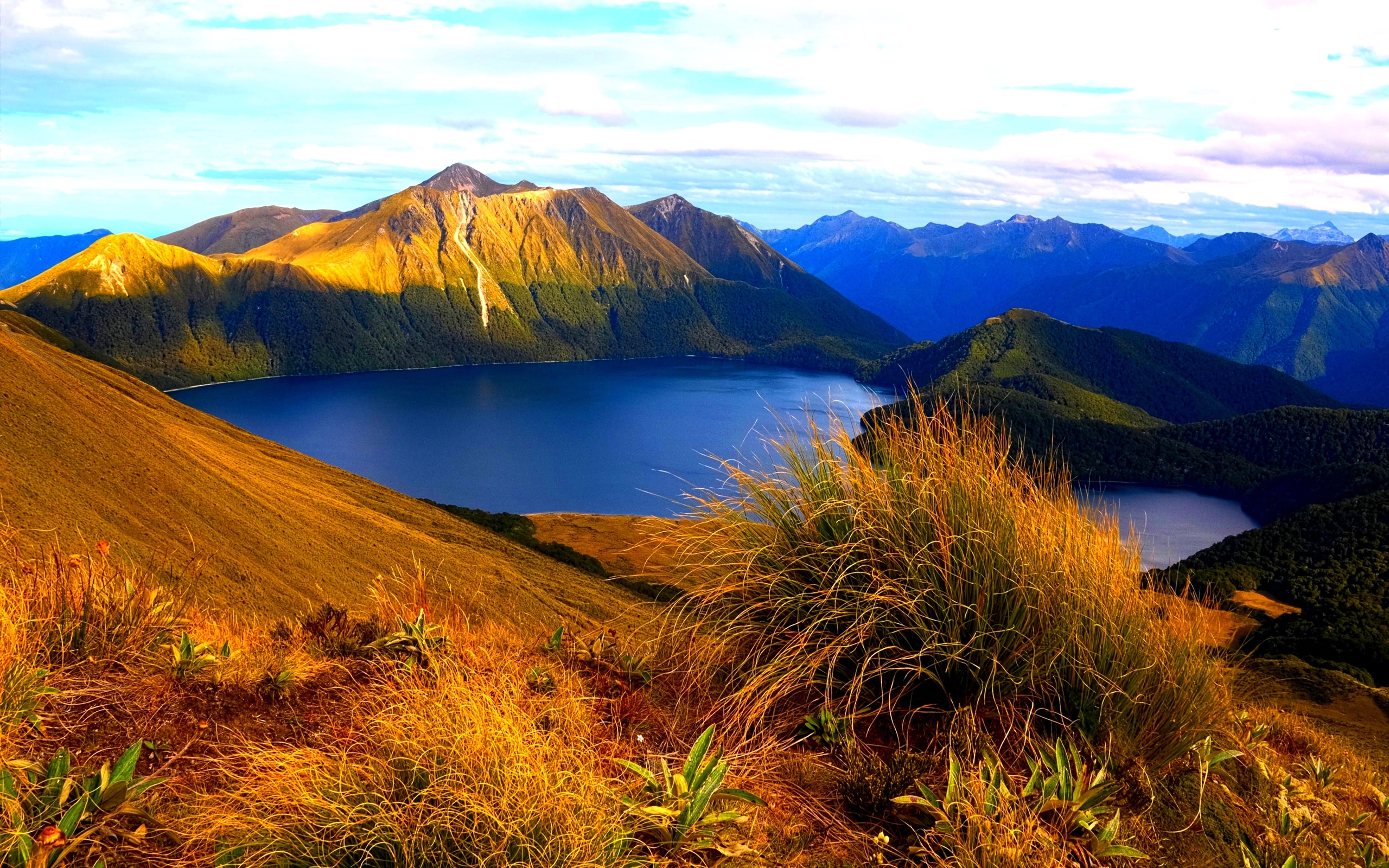Earth Fjord Landscape Mountain New Zealand 2560x1600