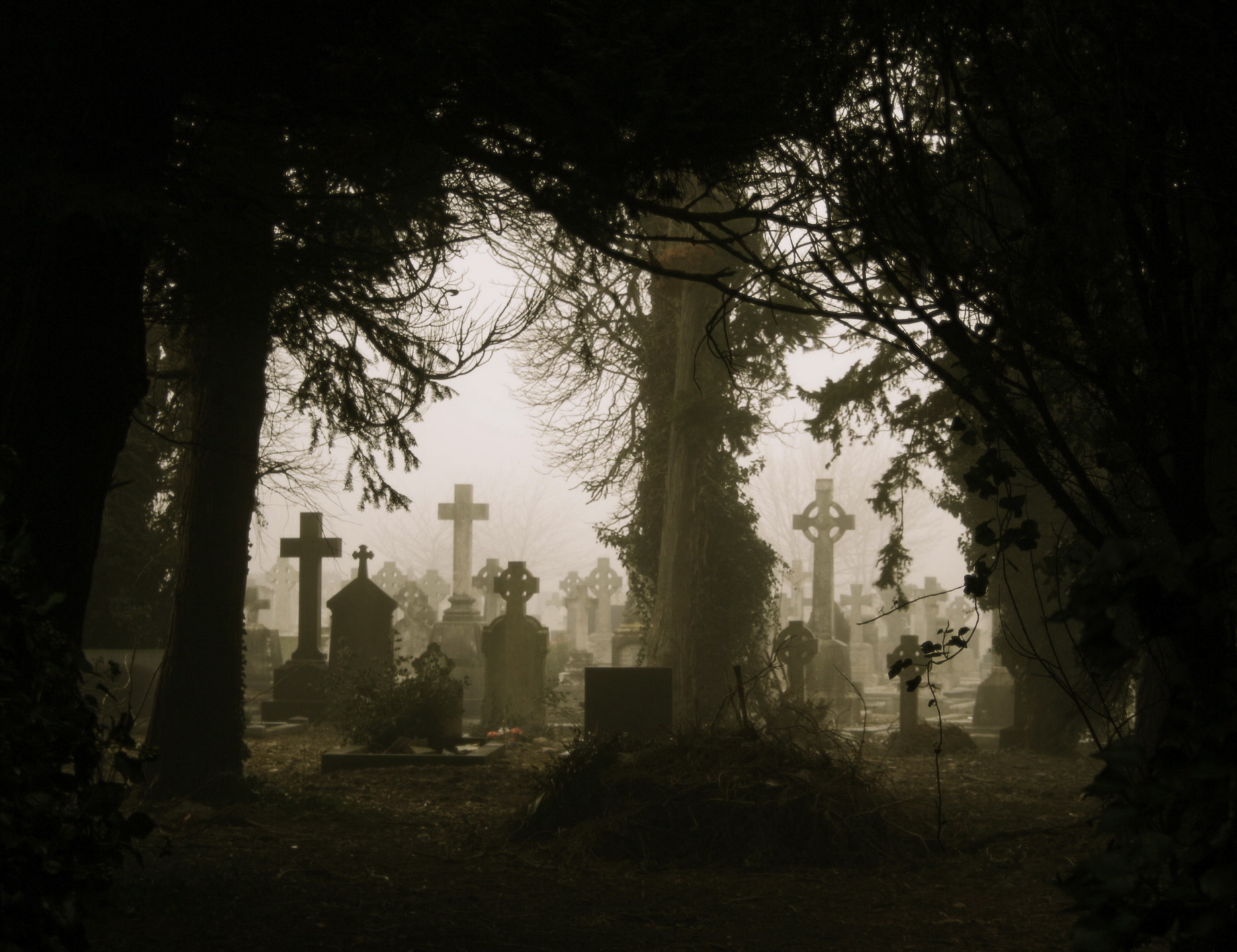 Dark Cemetery 1870x1440