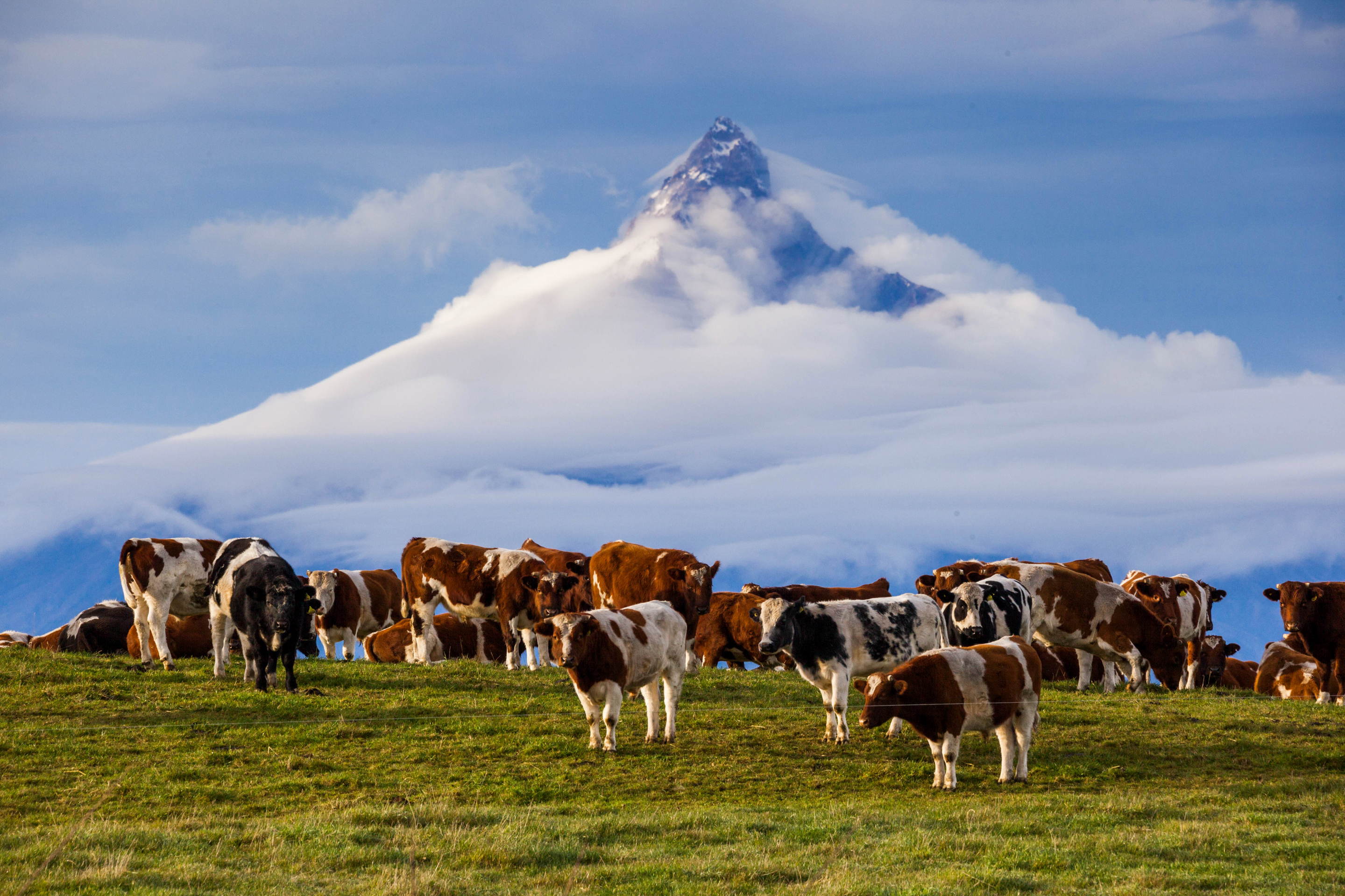 Andes Cow Mountain Peak 2880x1920