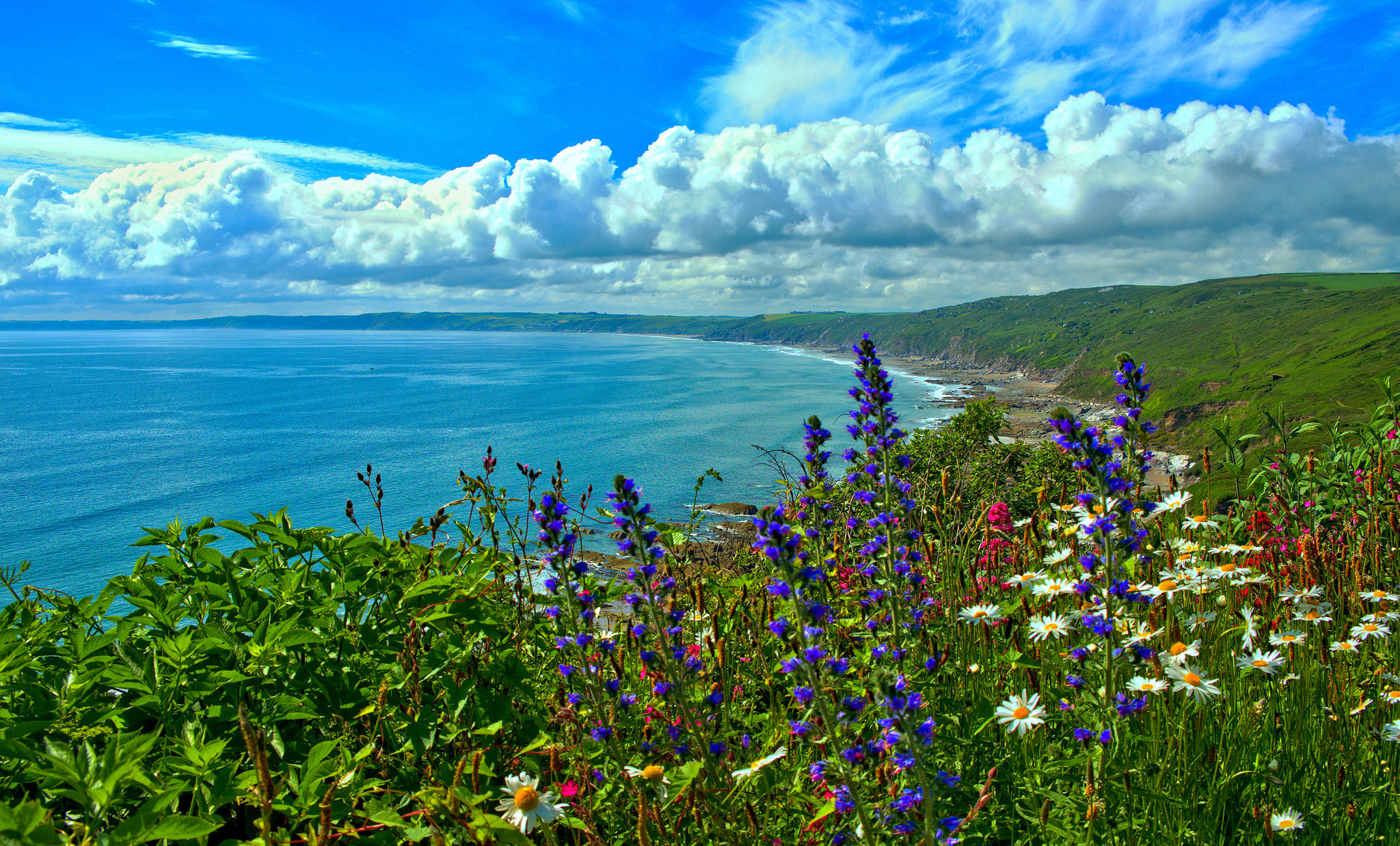 Coast Coastline Cornwall Earth England Flower Ocean Sea 2048x1238