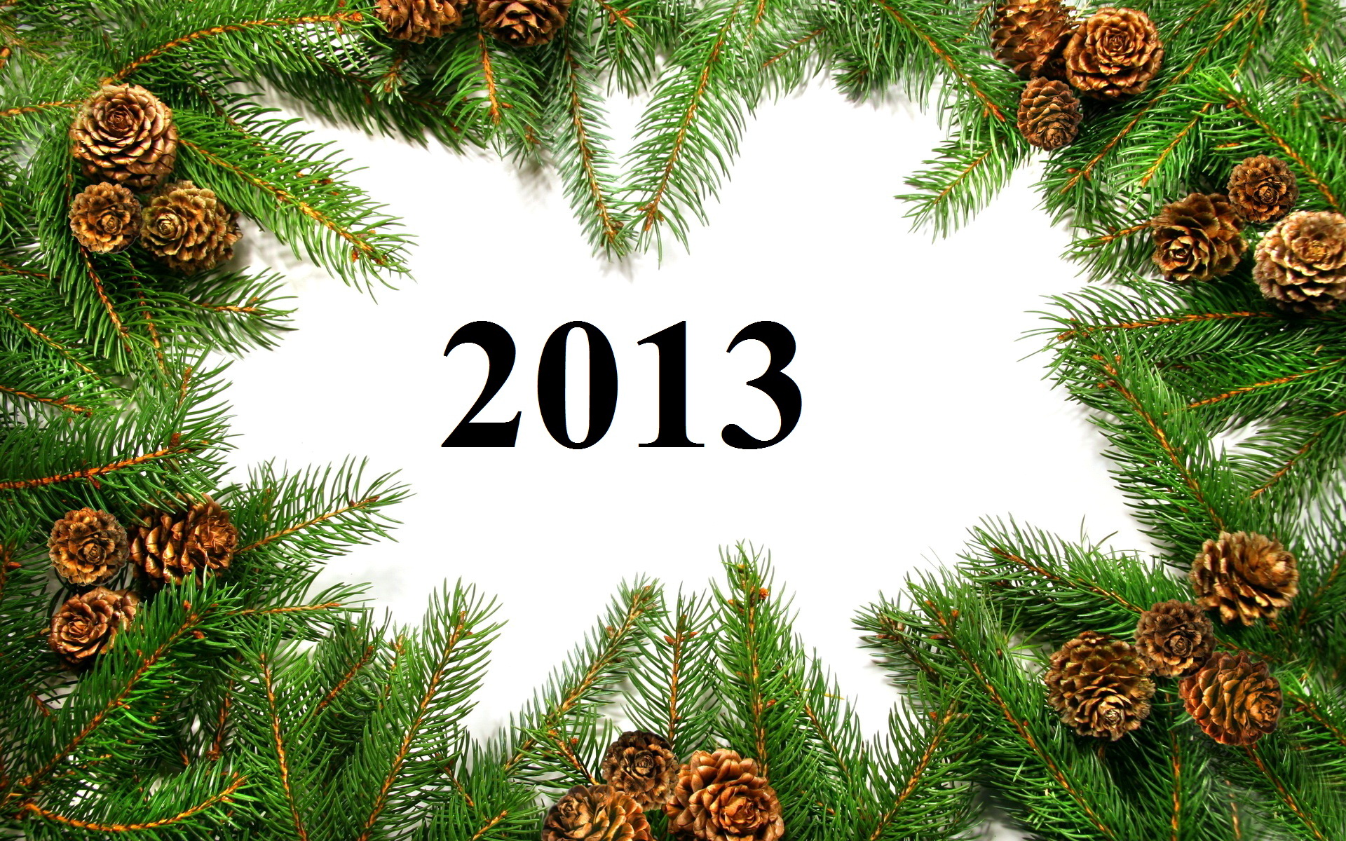 Holiday New Year 2013 1920x1200