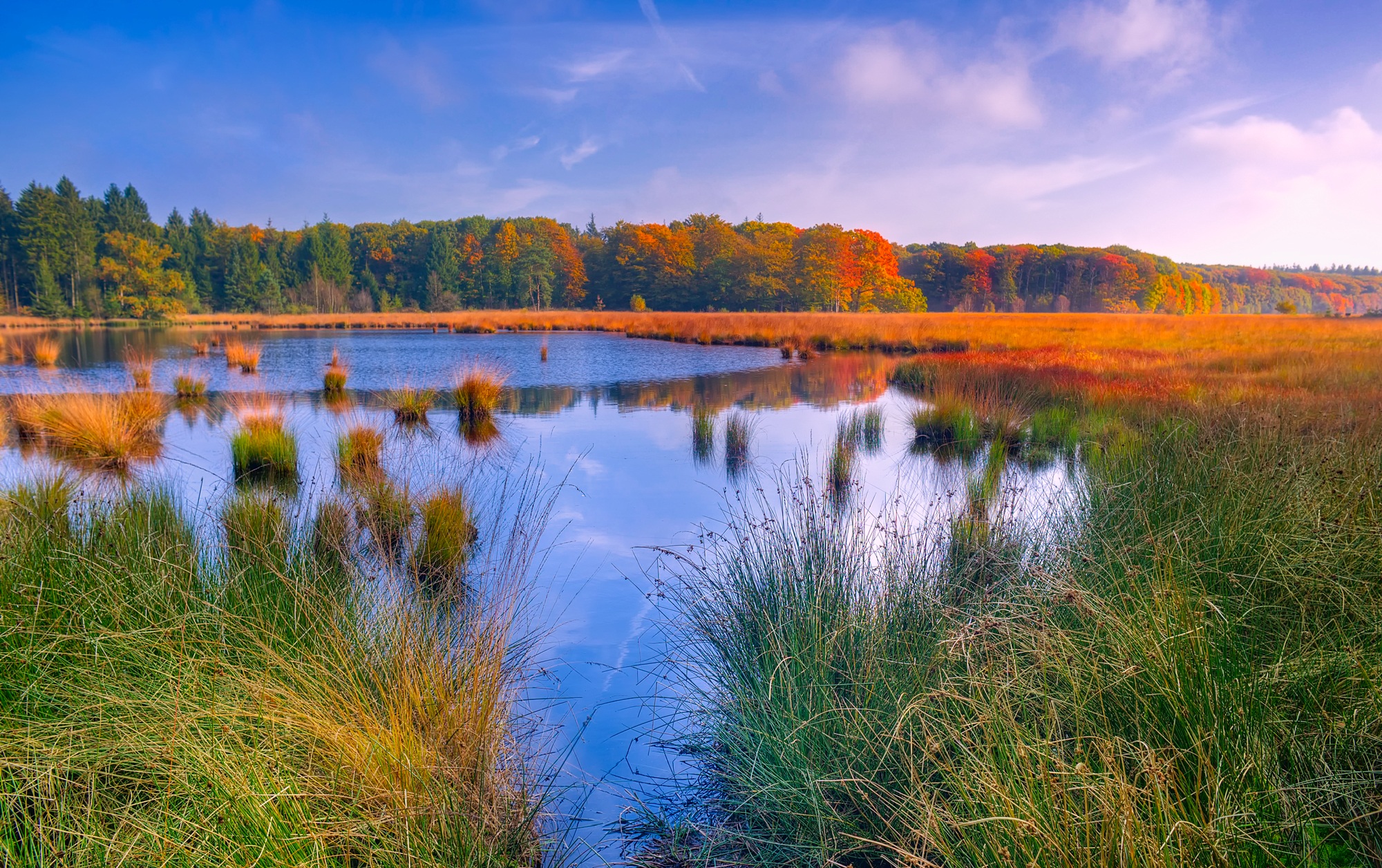 Countryside Fall Forest Grass Lake Landscape Nature Pond Reed Water 2000x1256
