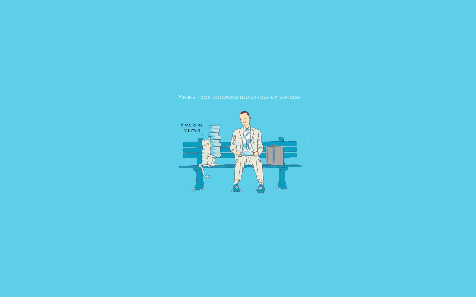 Blue Candy Cat Forrest Gump Funny 1920x1200