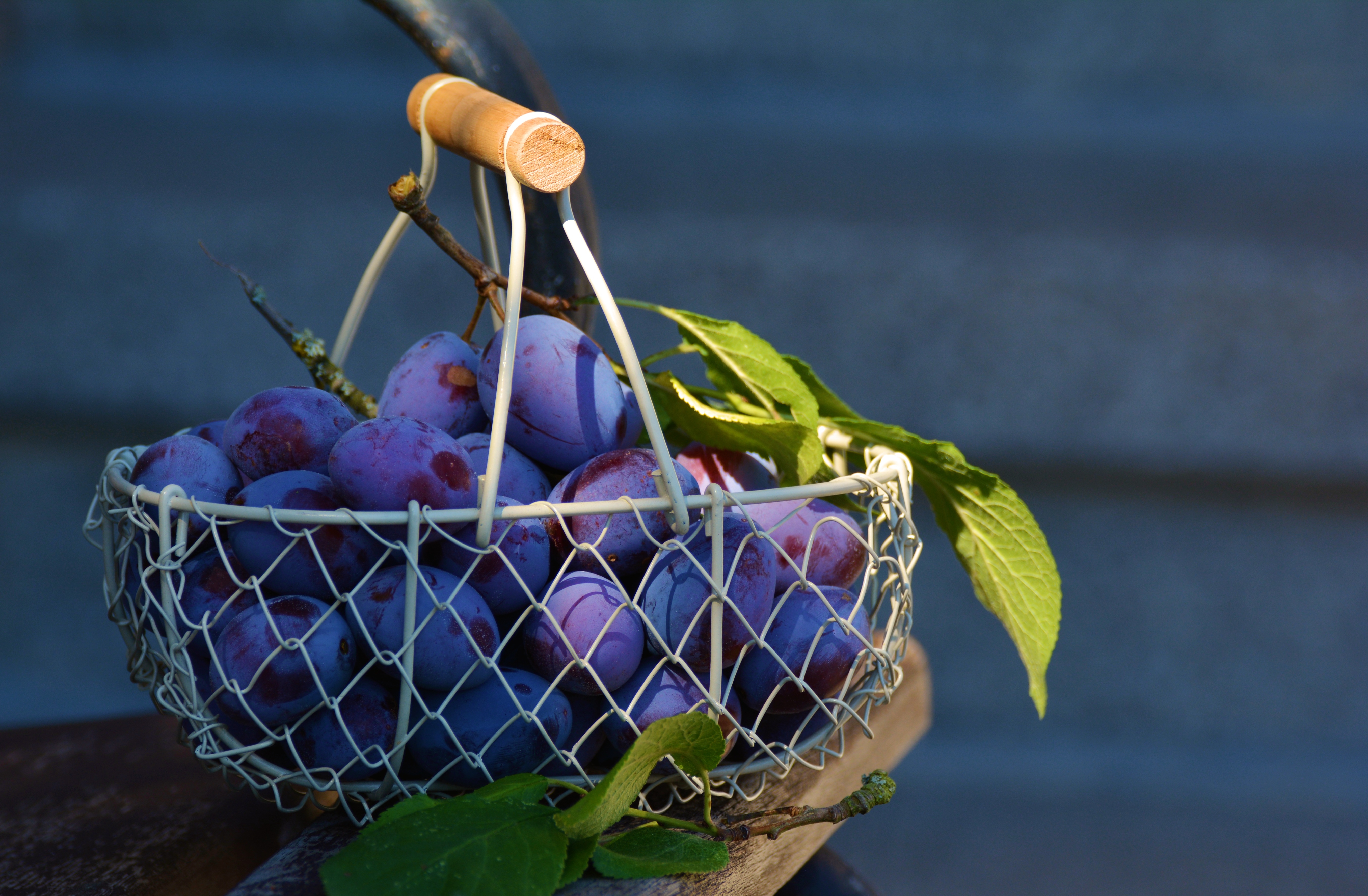 Basket Fruit Plum 5421x3551