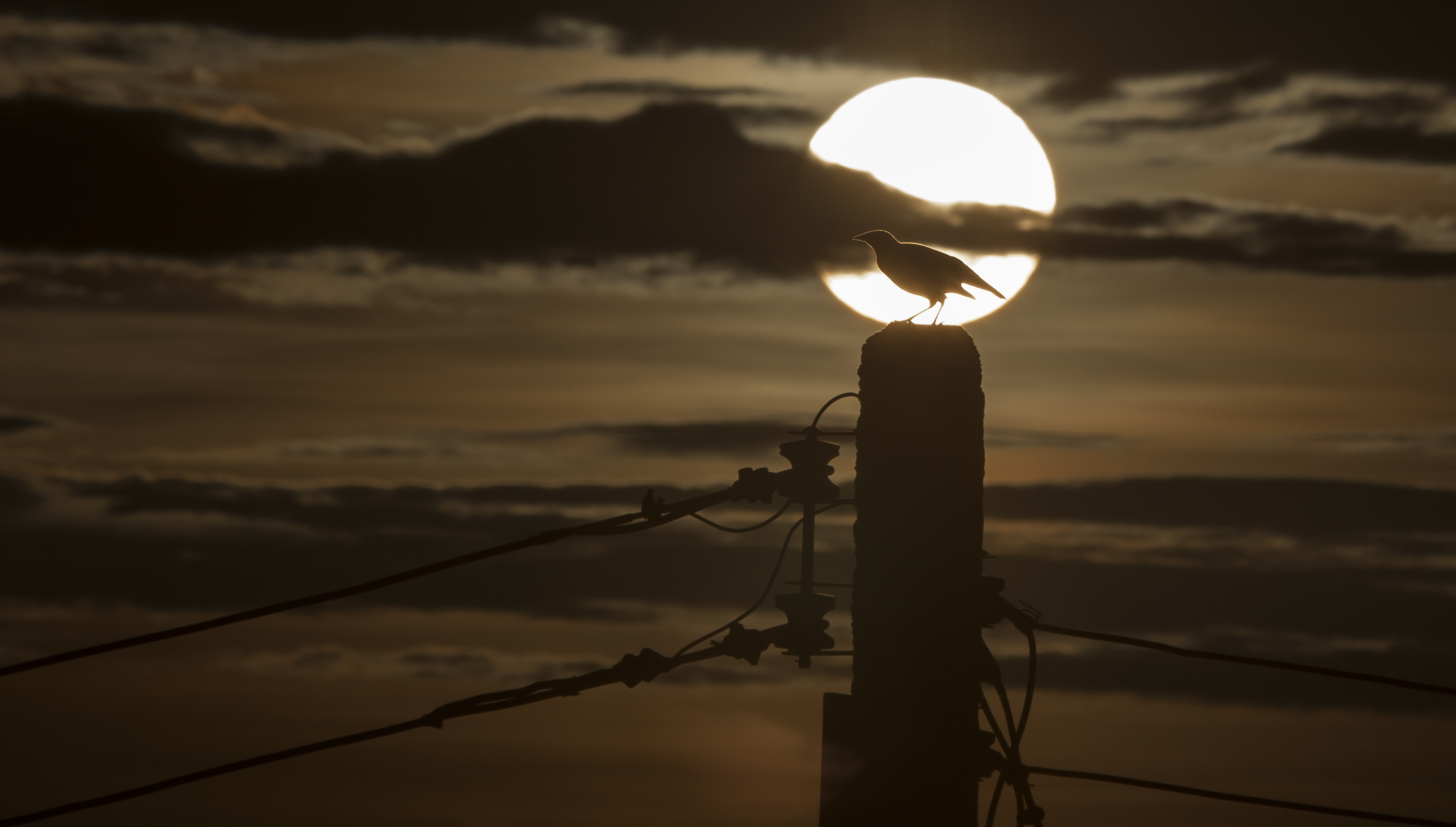 Cloud Power Line Silhouette Sun Sunset Twilight 3126x1776