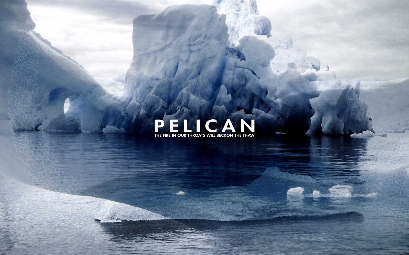 Pelican 1680x1050
