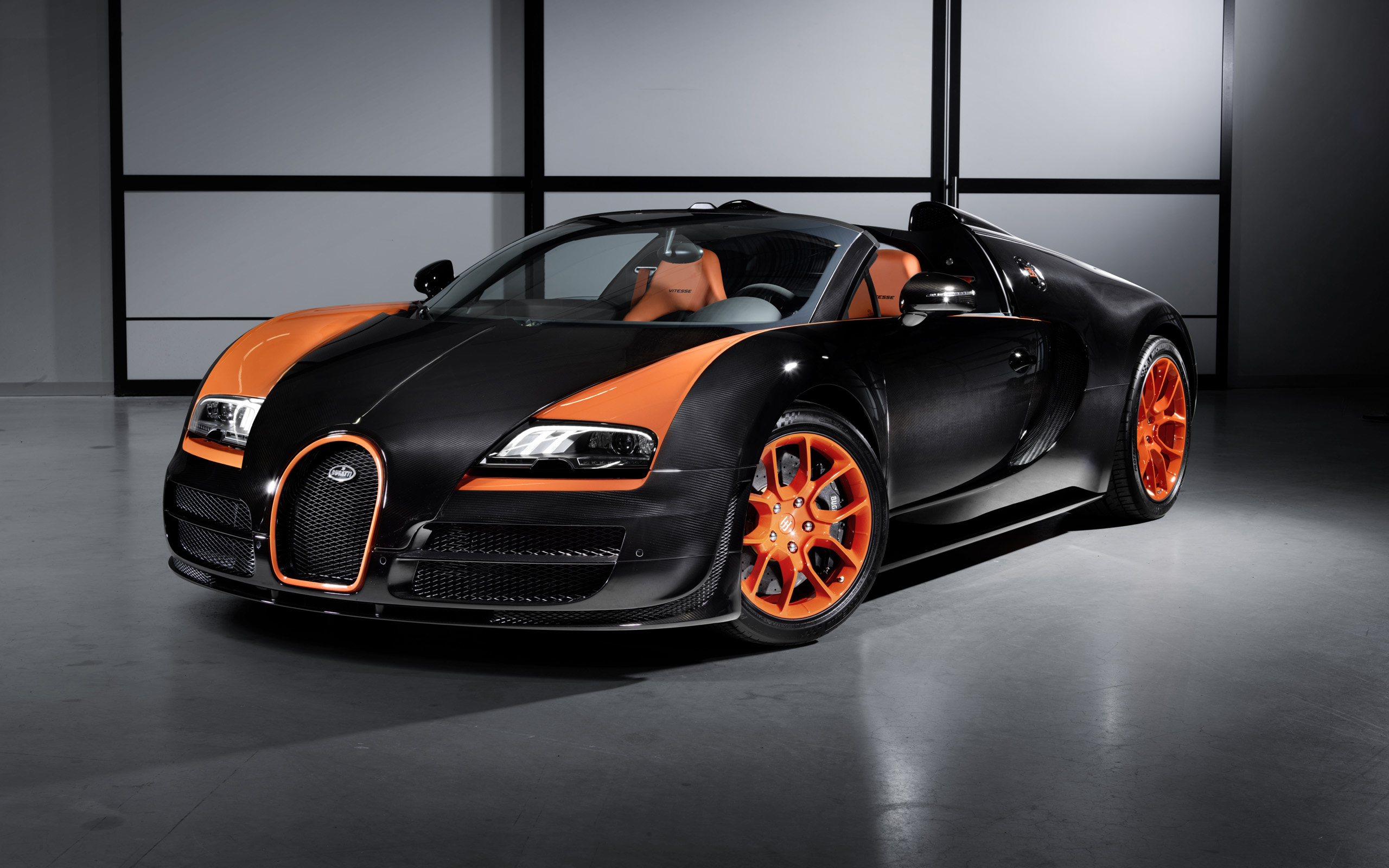 Bugatti Veyron Sport Car 2560x1600