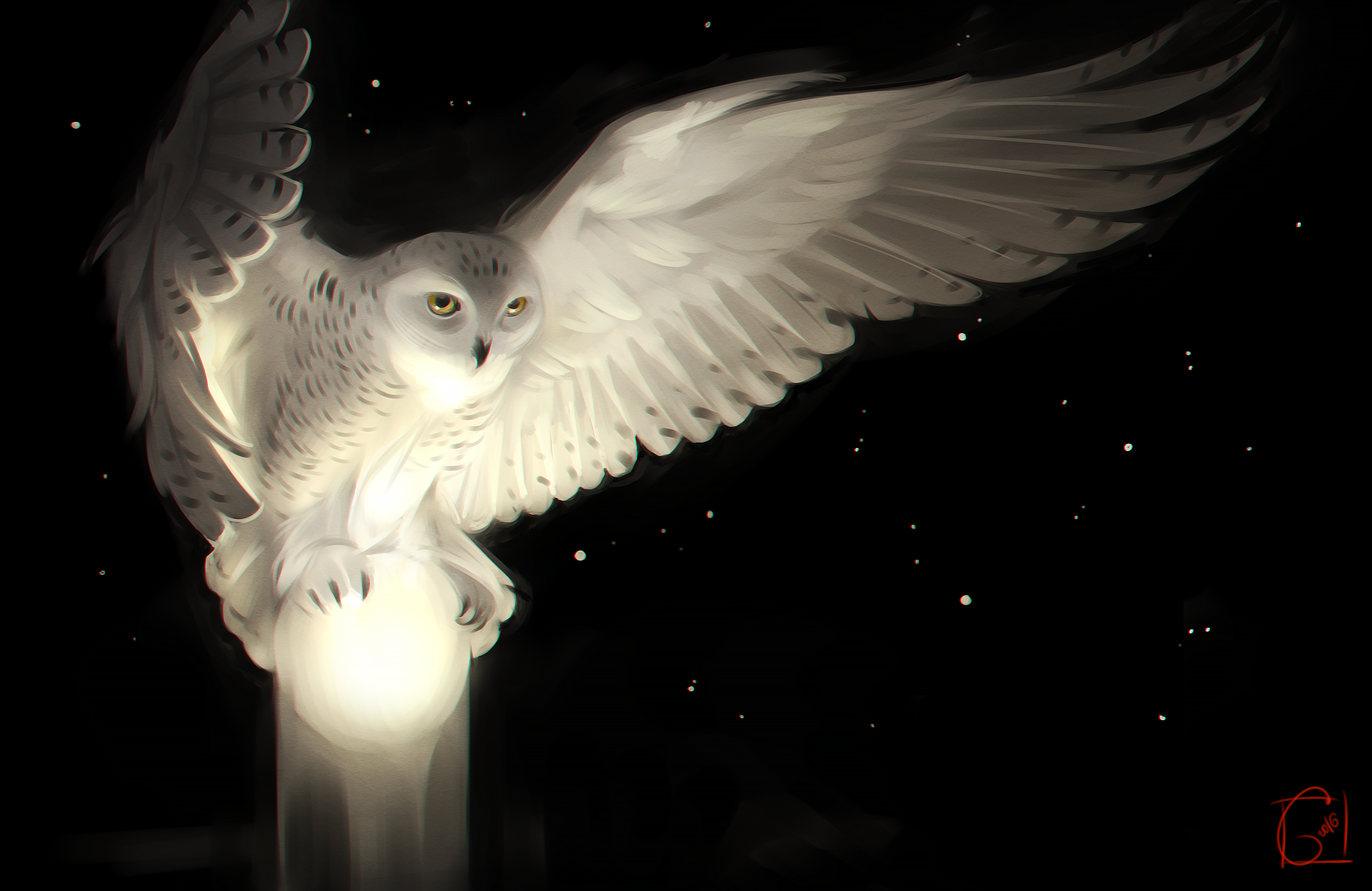 Artistic Fantasy Owl Snowy Owl 3425x2222