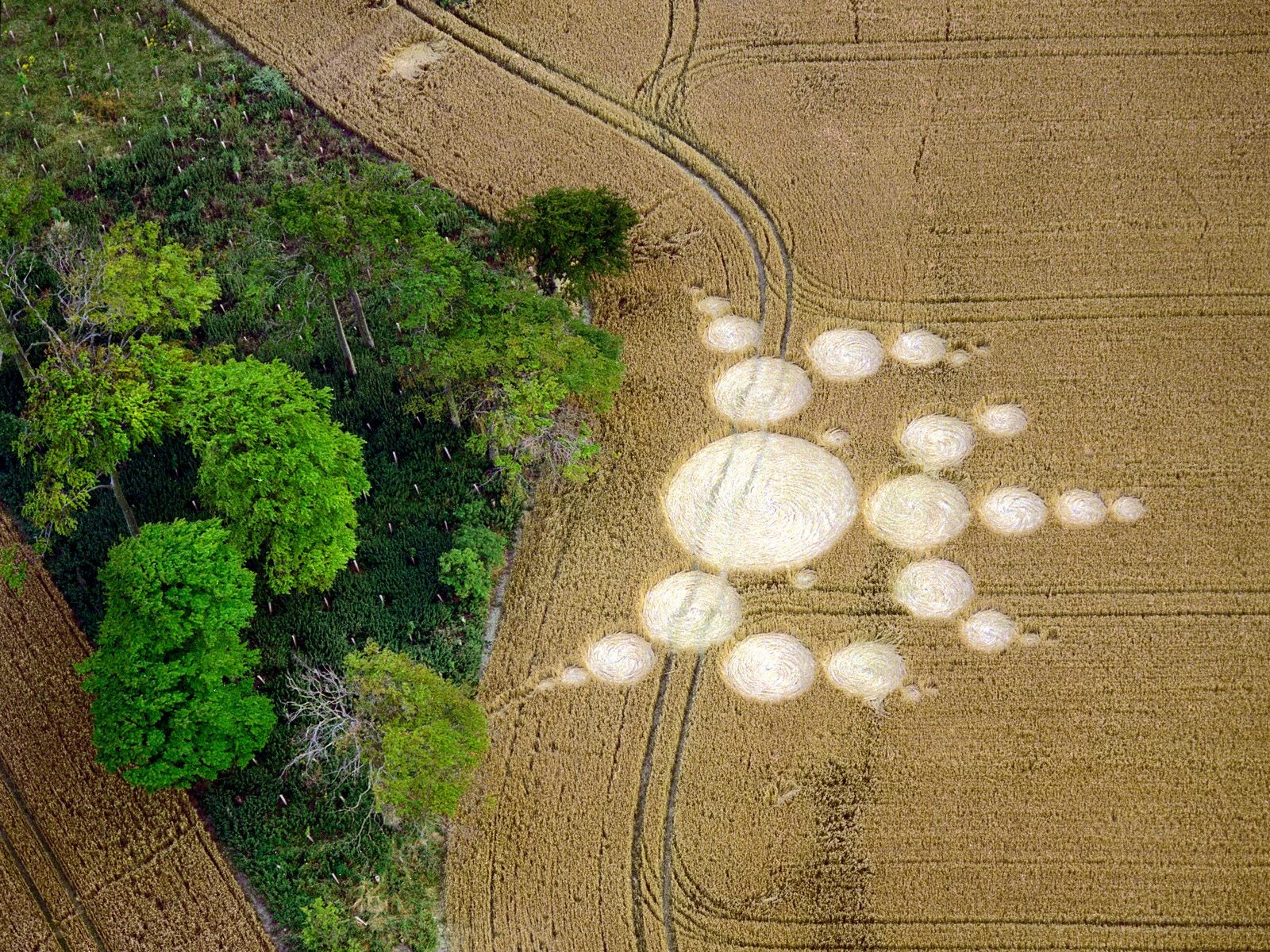 Man Made Crop Circles 1600x1200