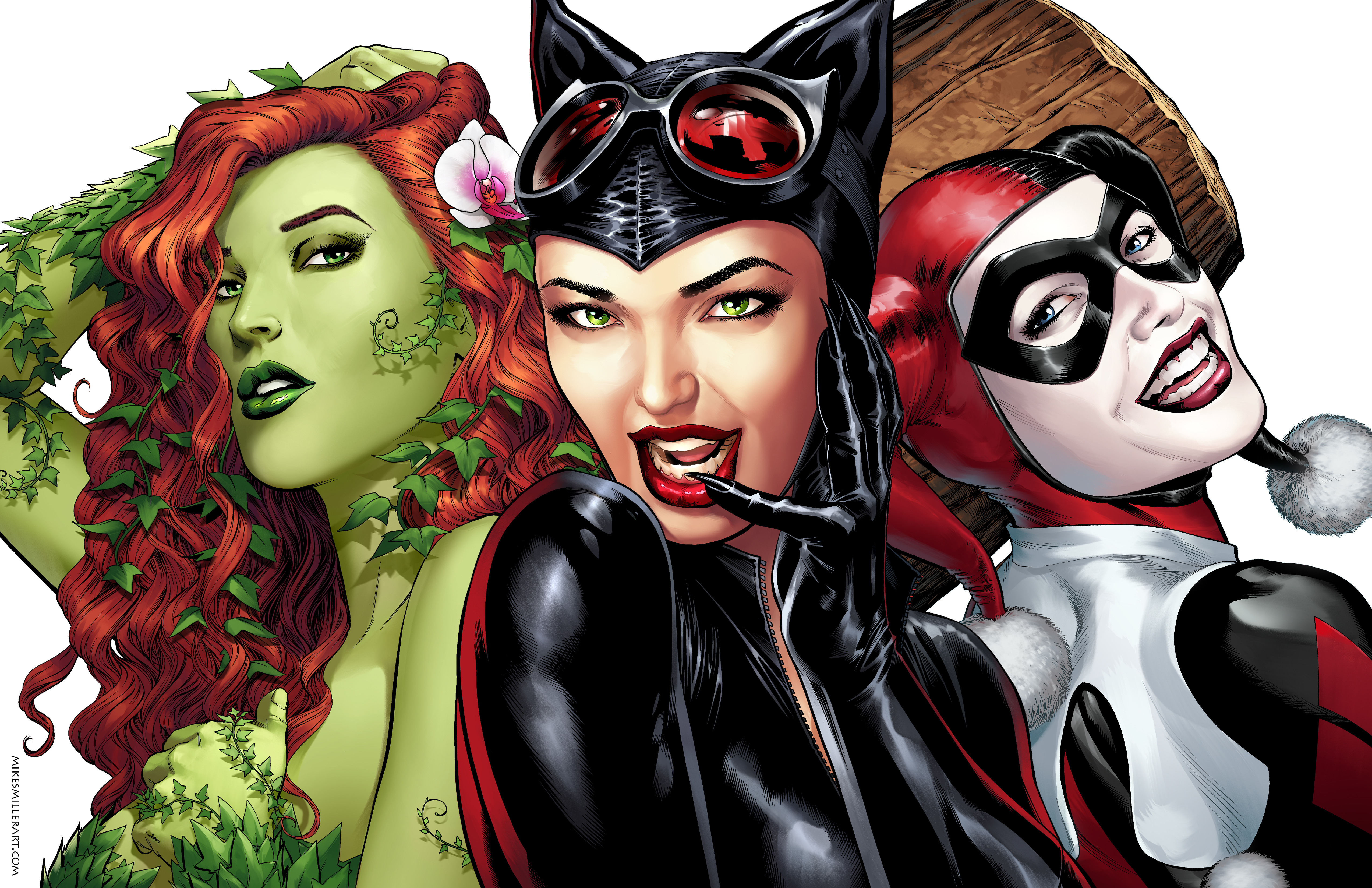 Catwoman Dc Comics Harley Quinn Poison Ivy 5100x3300