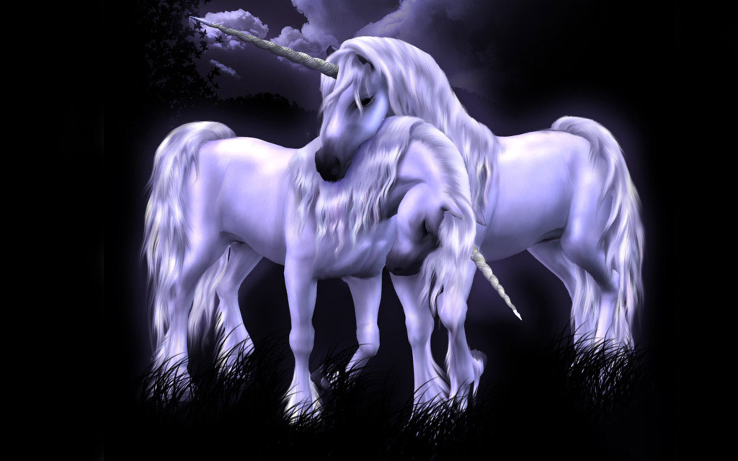 Fantasy Unicorn 2560x1600