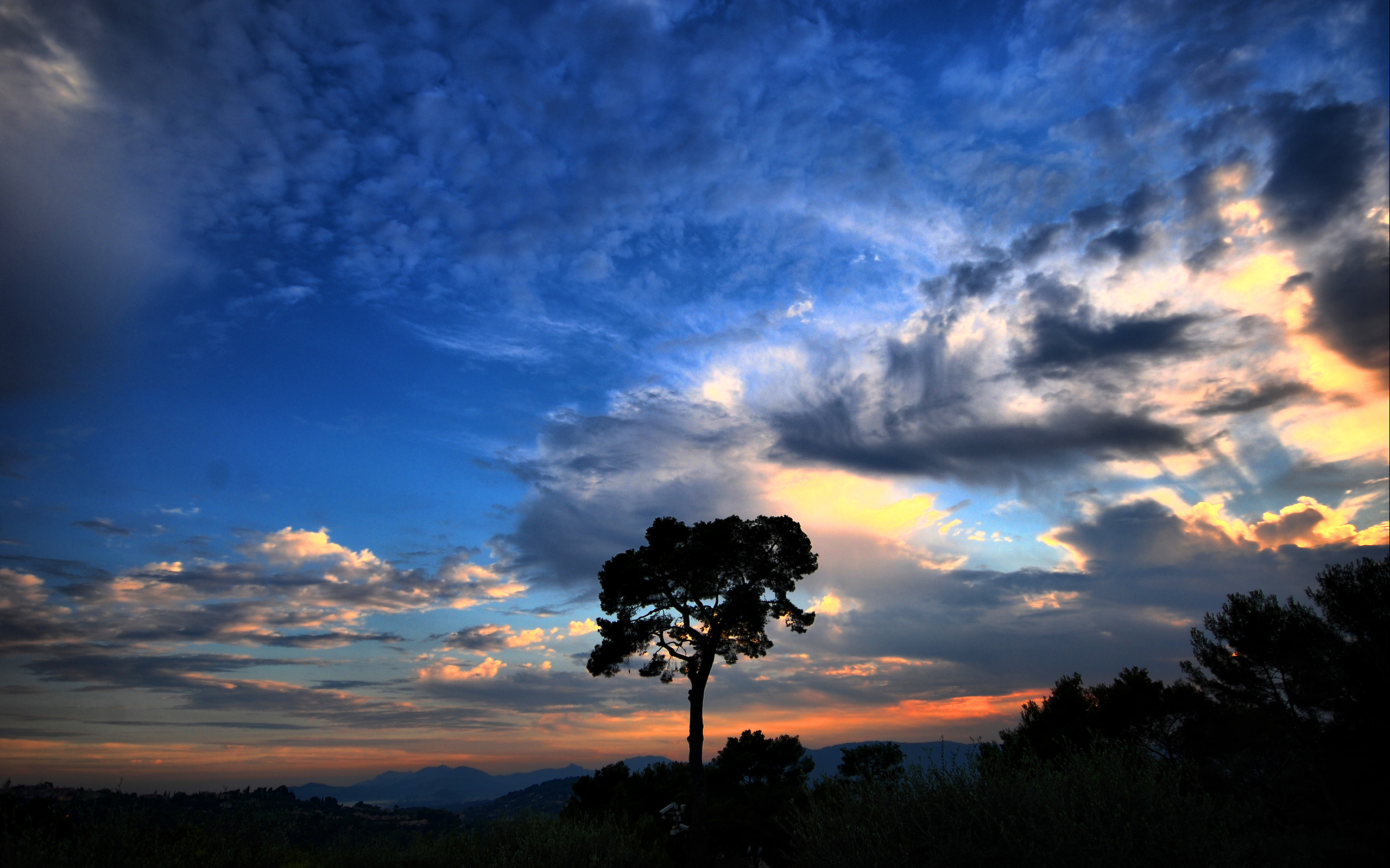 Blue Cloud Colors Sky Sunset Tree 2560x1600