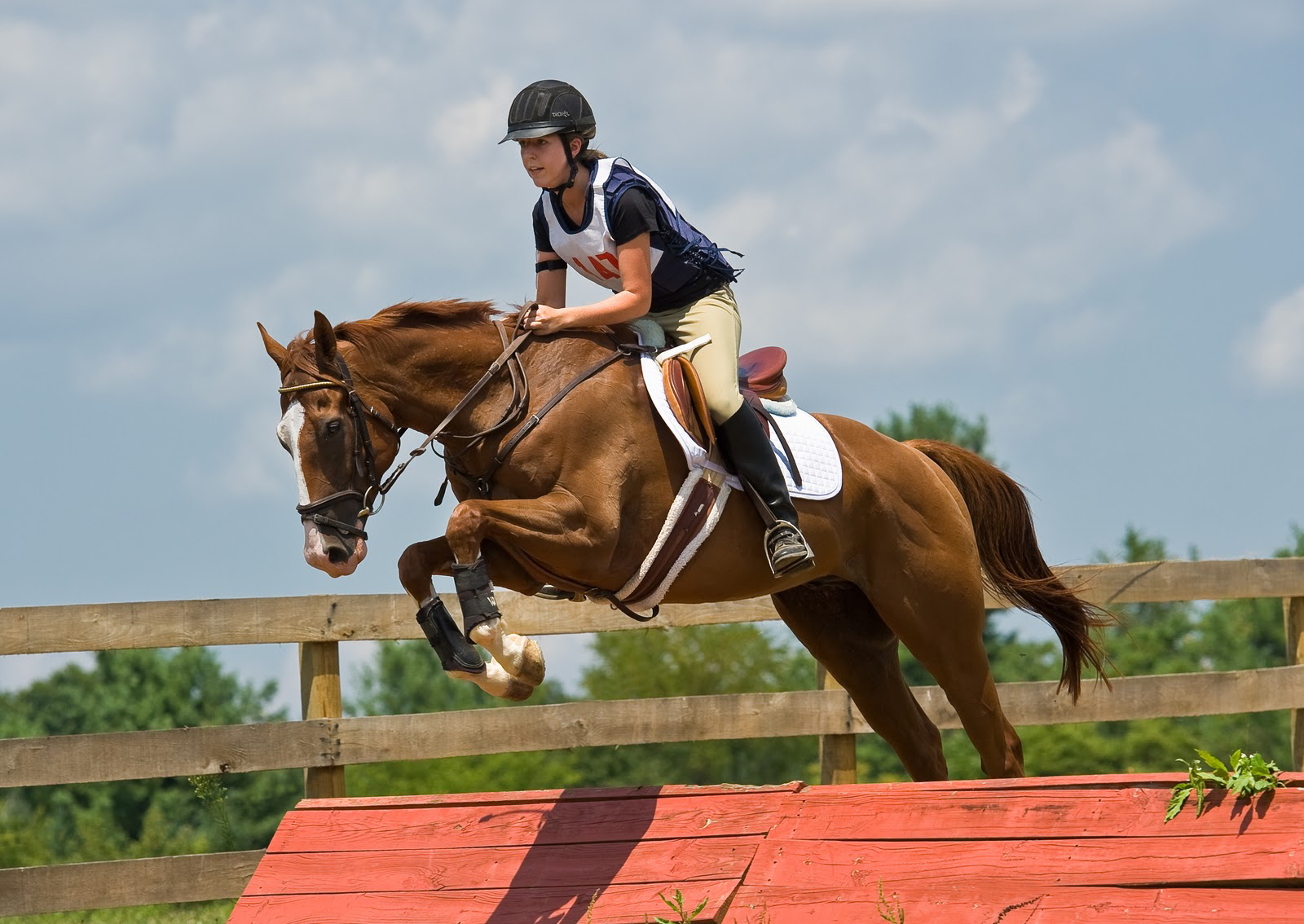 Sports Show Jumping 1600x1134