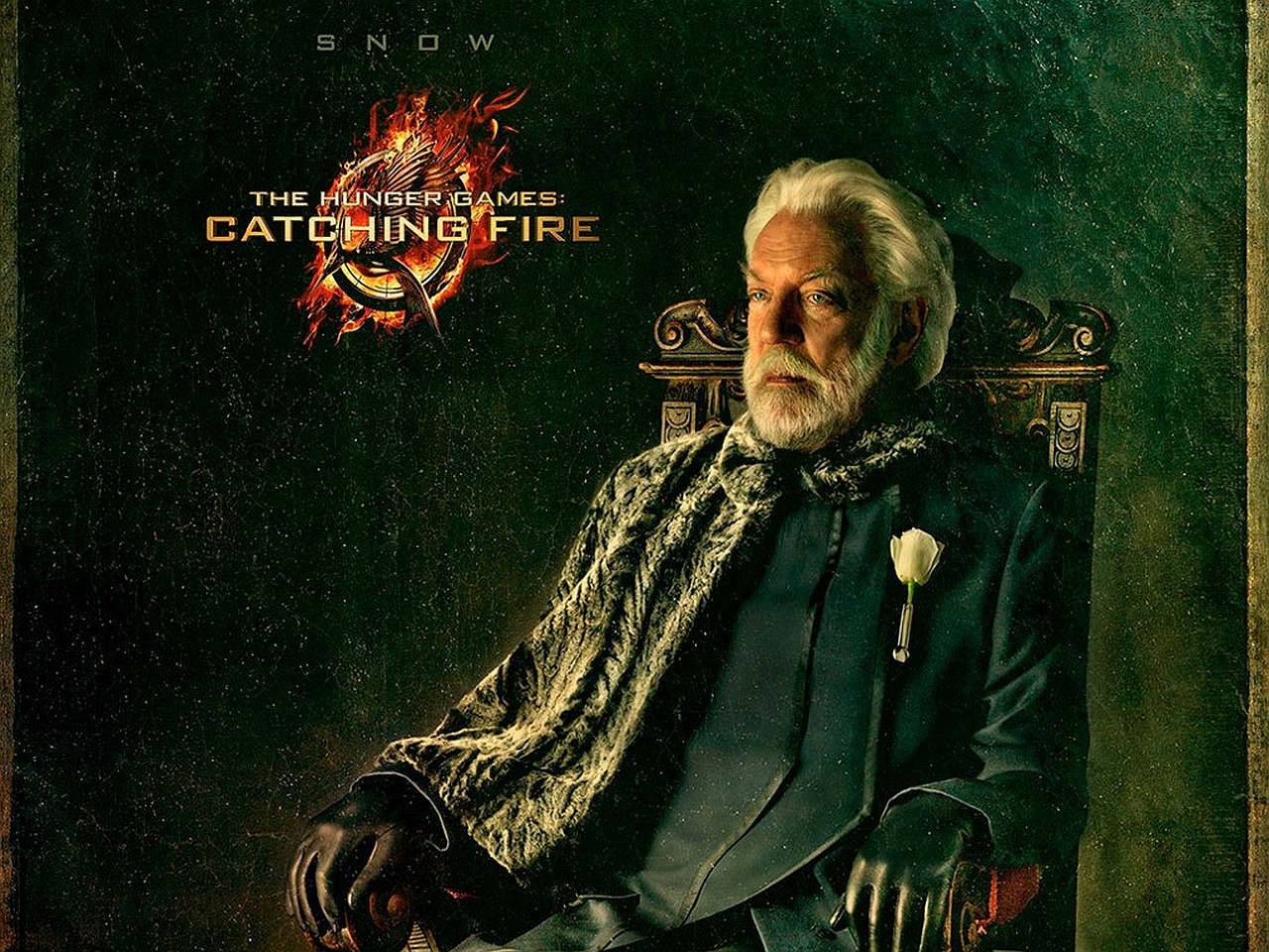 Movie The Hunger Games Catching Fire 1280x960