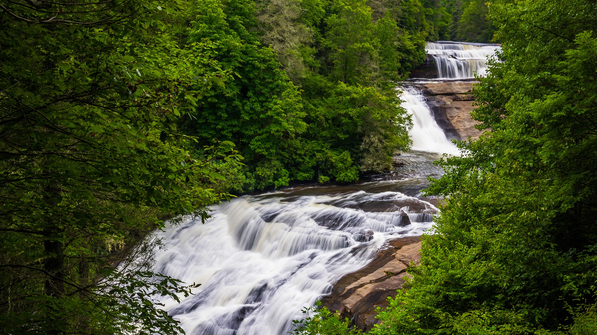 Nature Waterfall Water Rocks Plants Long Exposure Trees North Carolina USA 1920x1080