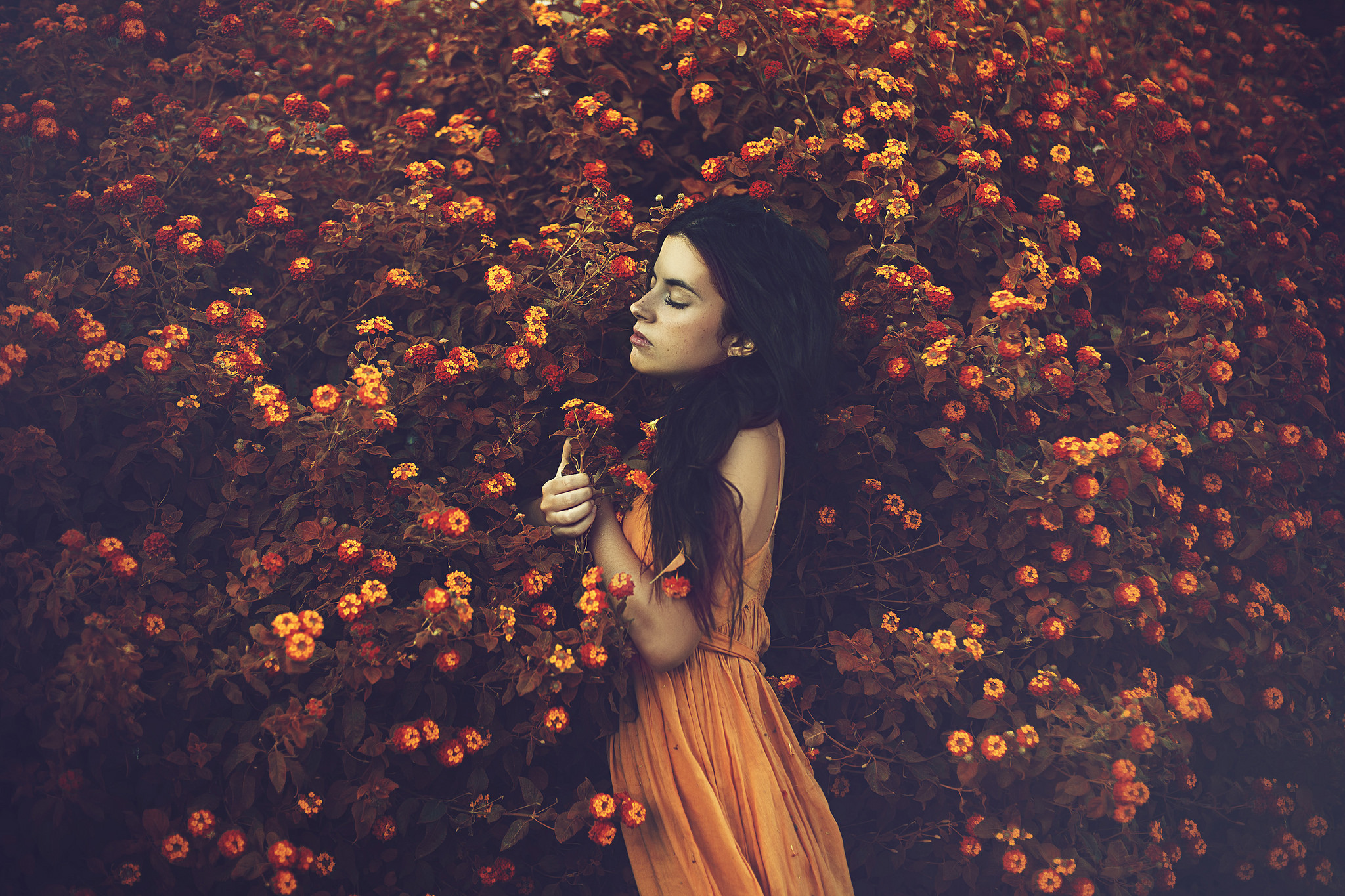 Brunette Flower Girl Model Mood Orange Dress Woman 2048x1365