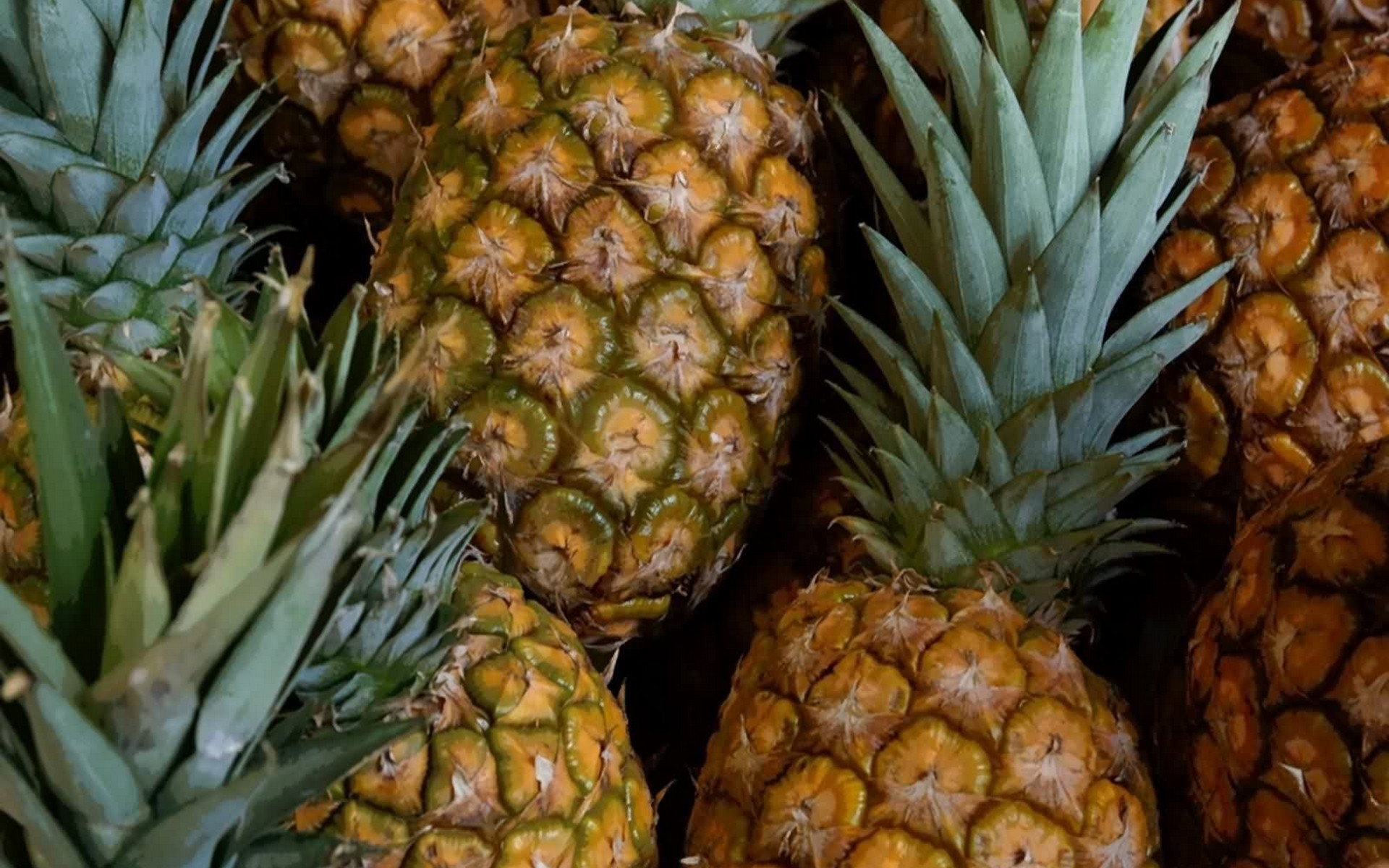 Food Pineapple 1920x1200