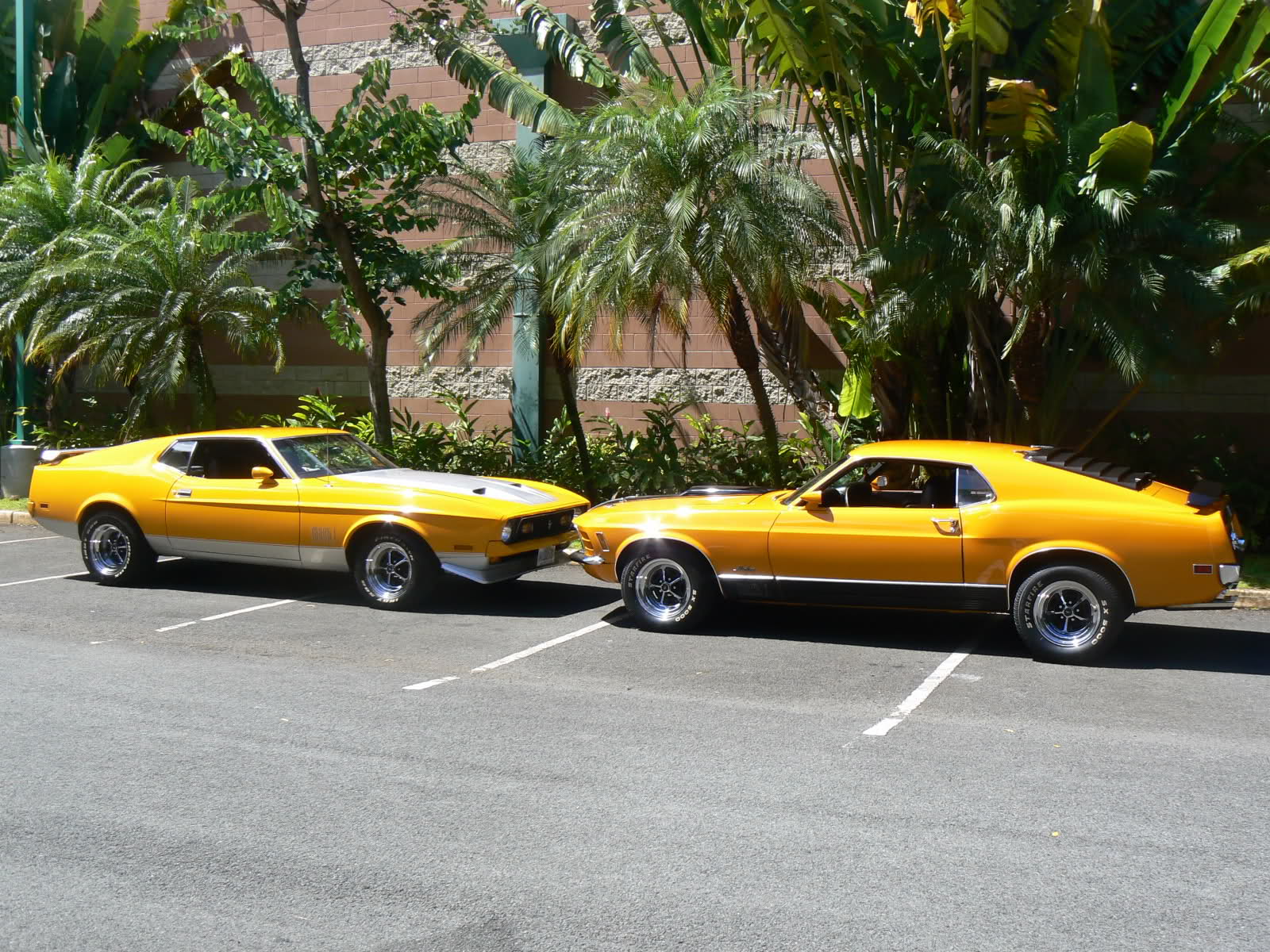 Car Ford Ford Mustang Ford Mustang Mach 1 Vehicle Yellow 1600x1200