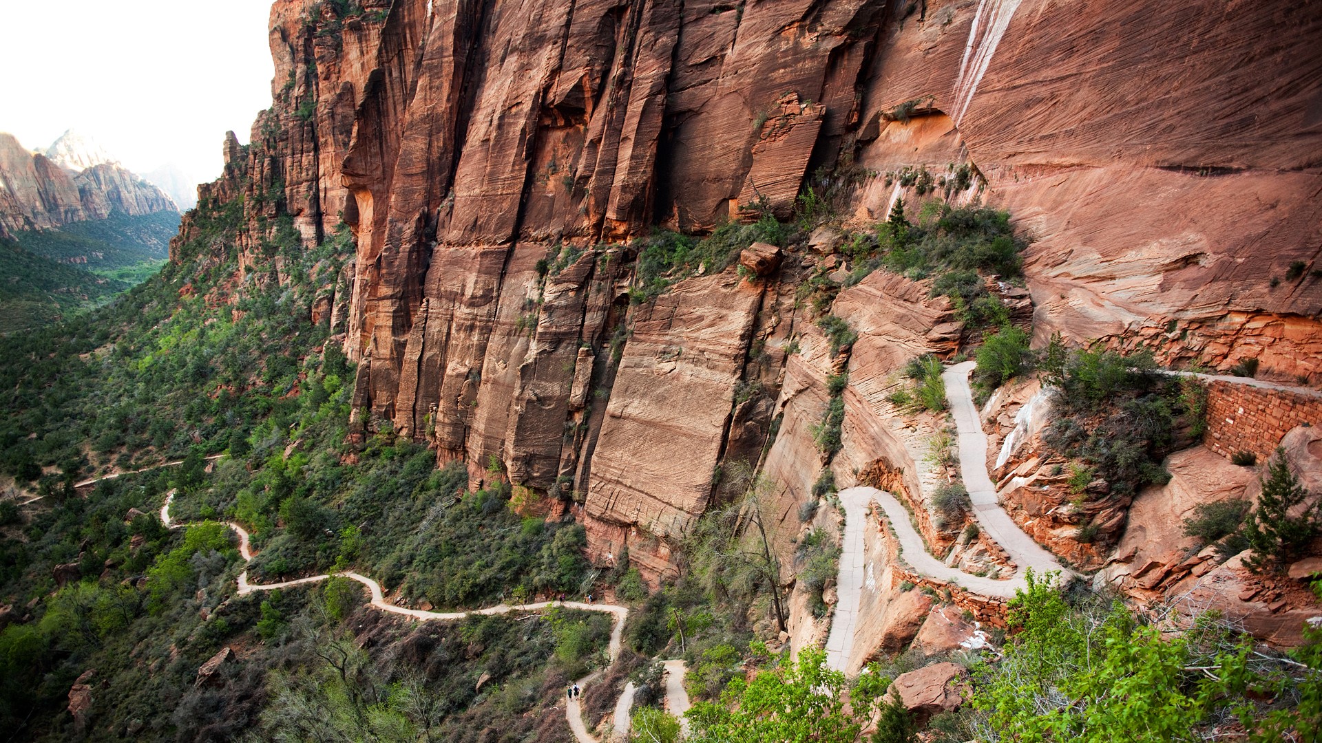 Nature Landscape Rock Road Hairpin Turns Trees Plants Valley Mountains Path Zion National Park Utah  1920x1080