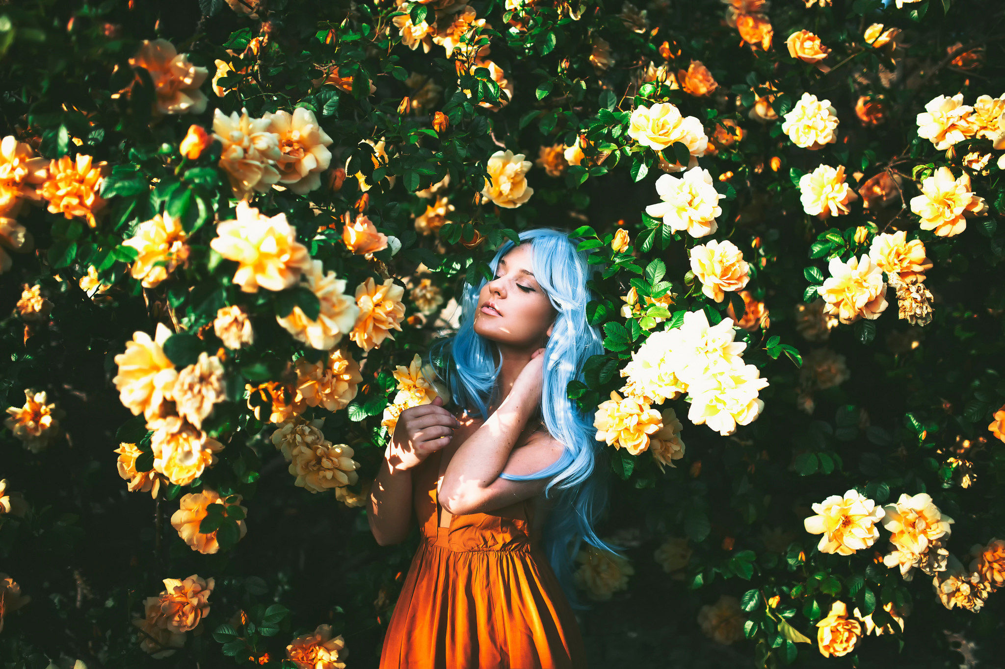 Blue Hair Flower Girl Model Mood Orange Dress Woman 2048x1365