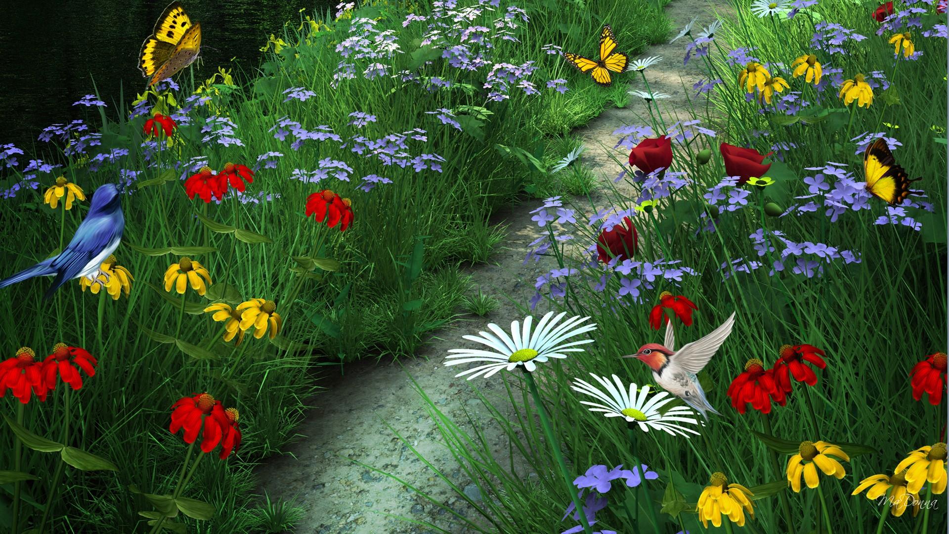 Artistic Bird Butterfly Colorful Flower Grass Path Summer 1920x1080