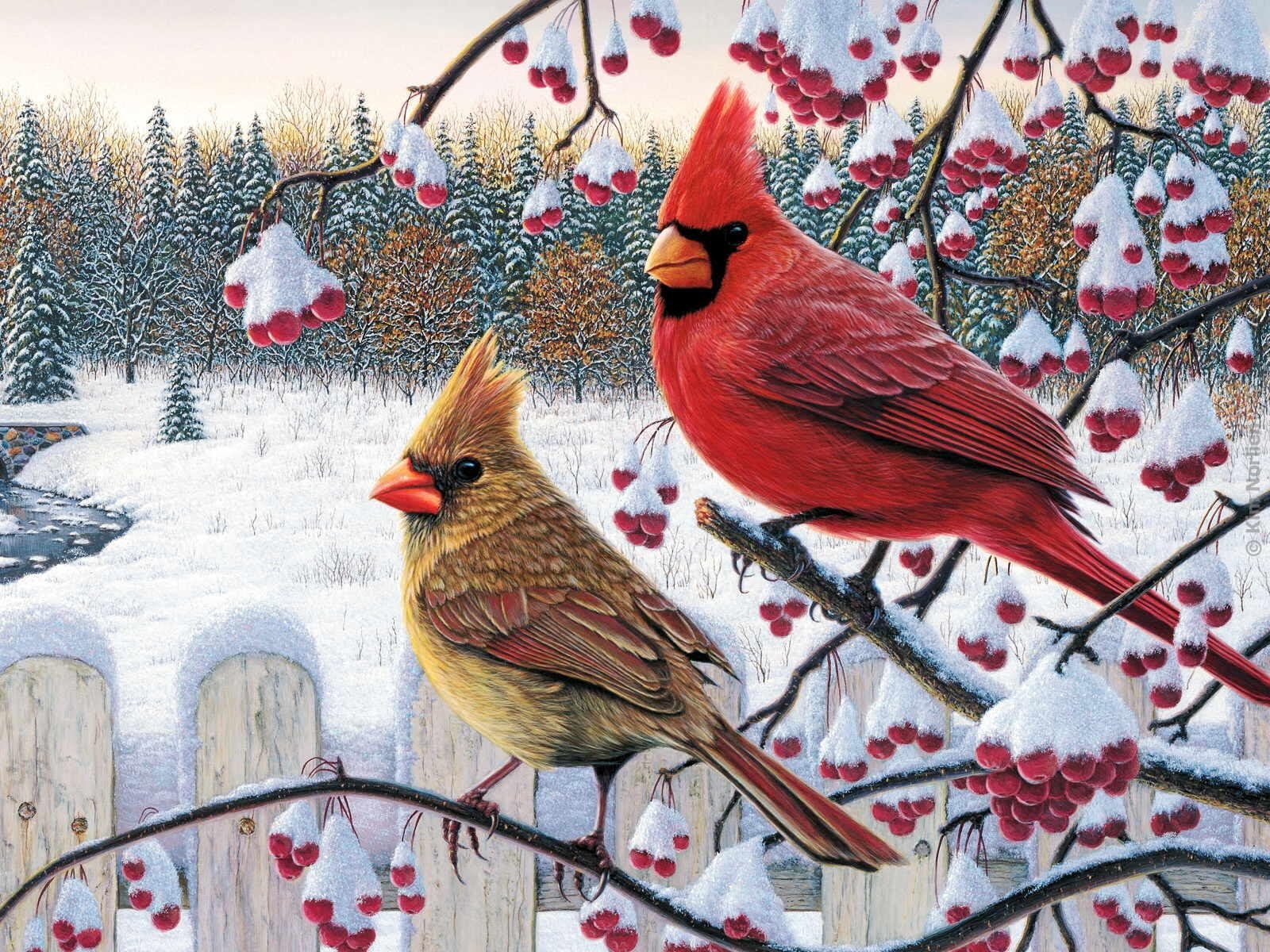 Artistic Berry Cardinal Painting Snow Tree Winter 1600x1200
