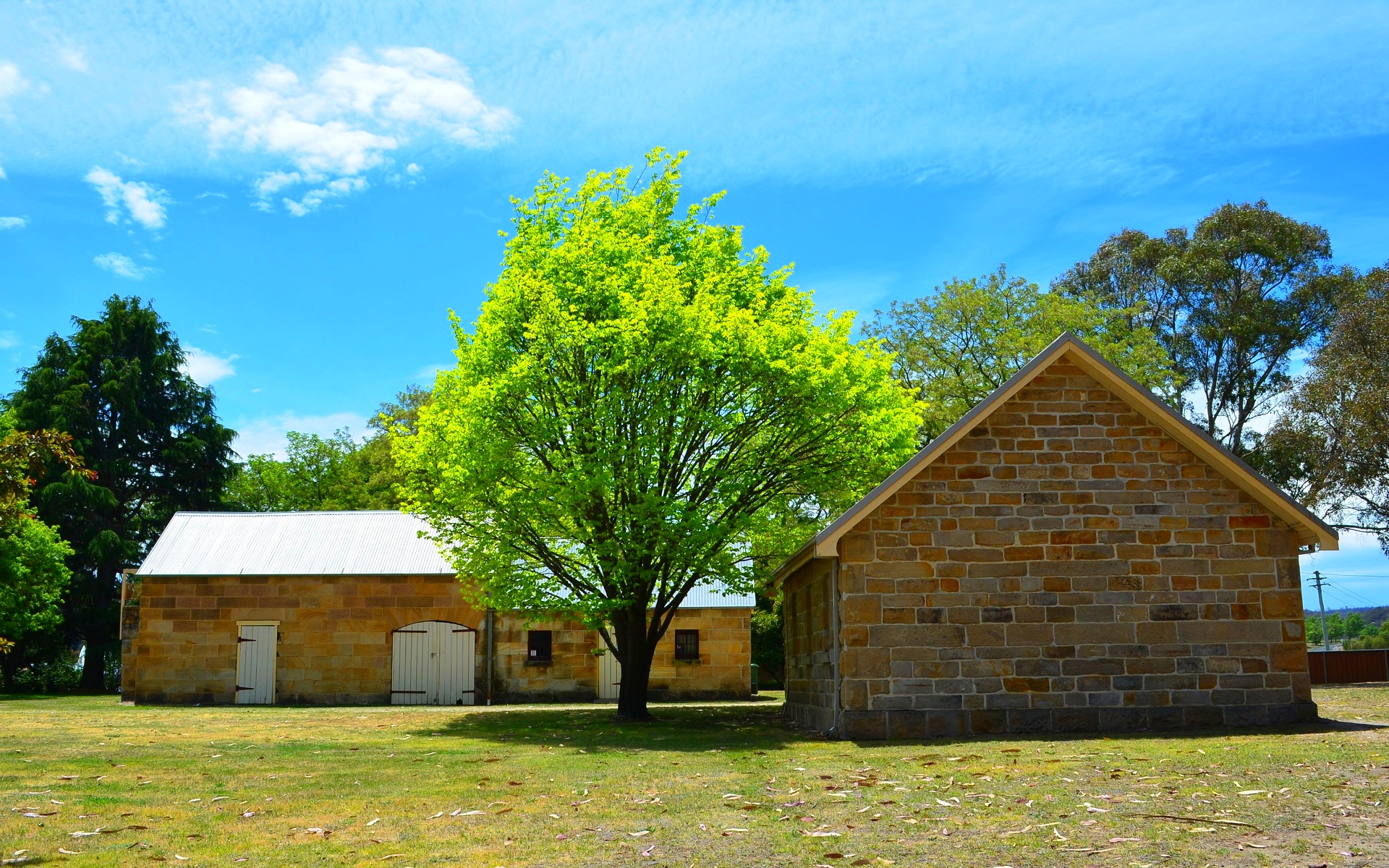 Australia Building Eskbank House Lithgow Tree 1920x1200