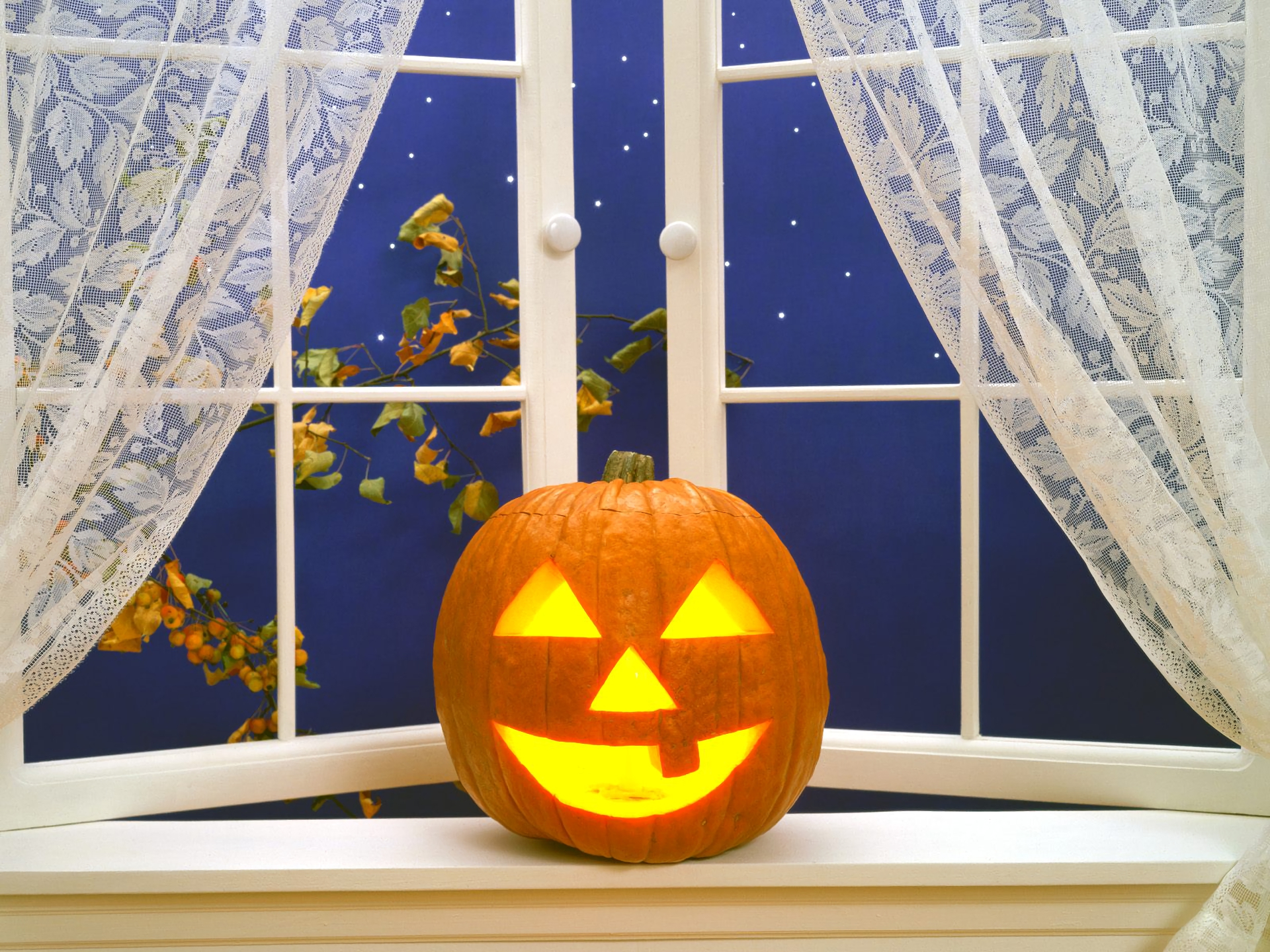 Curtain Halloween Holiday Jack O 039 Lantern Pumpkin Window 1920x1440