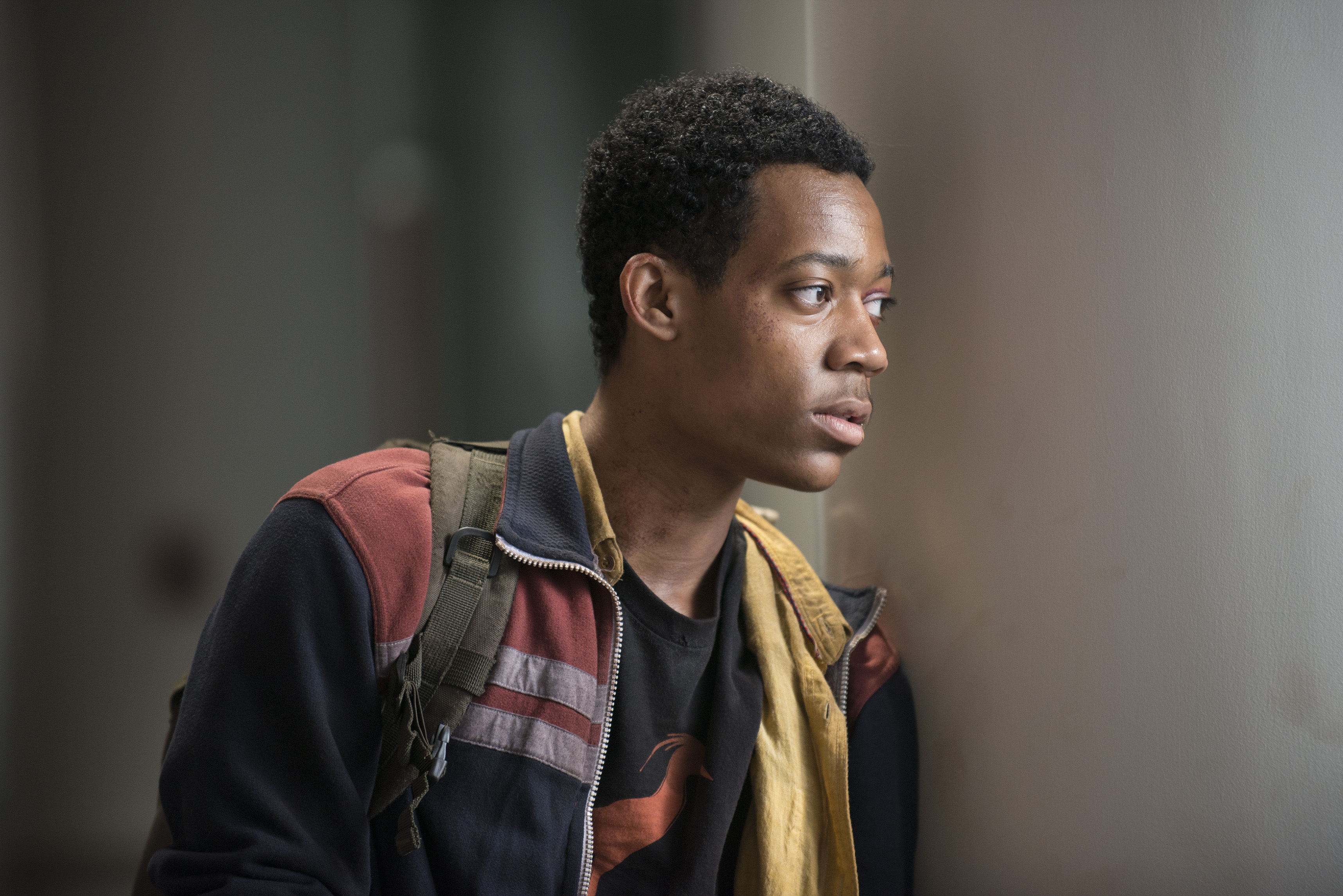 Noah The Walking Dead Tyler James Williams 3433x2291