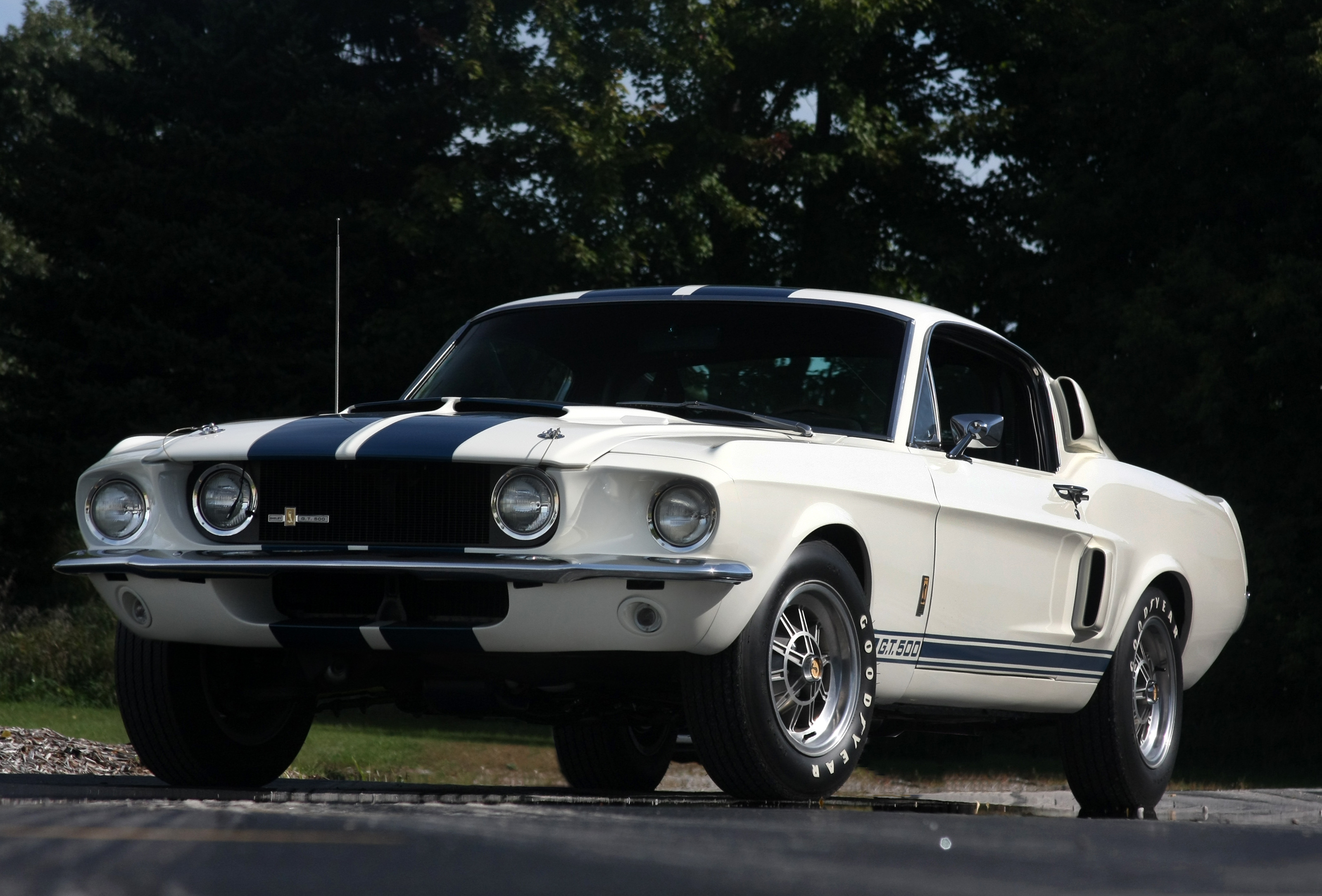 Fastback Muscle Car Shelby Gt500 White Car 3200x2170