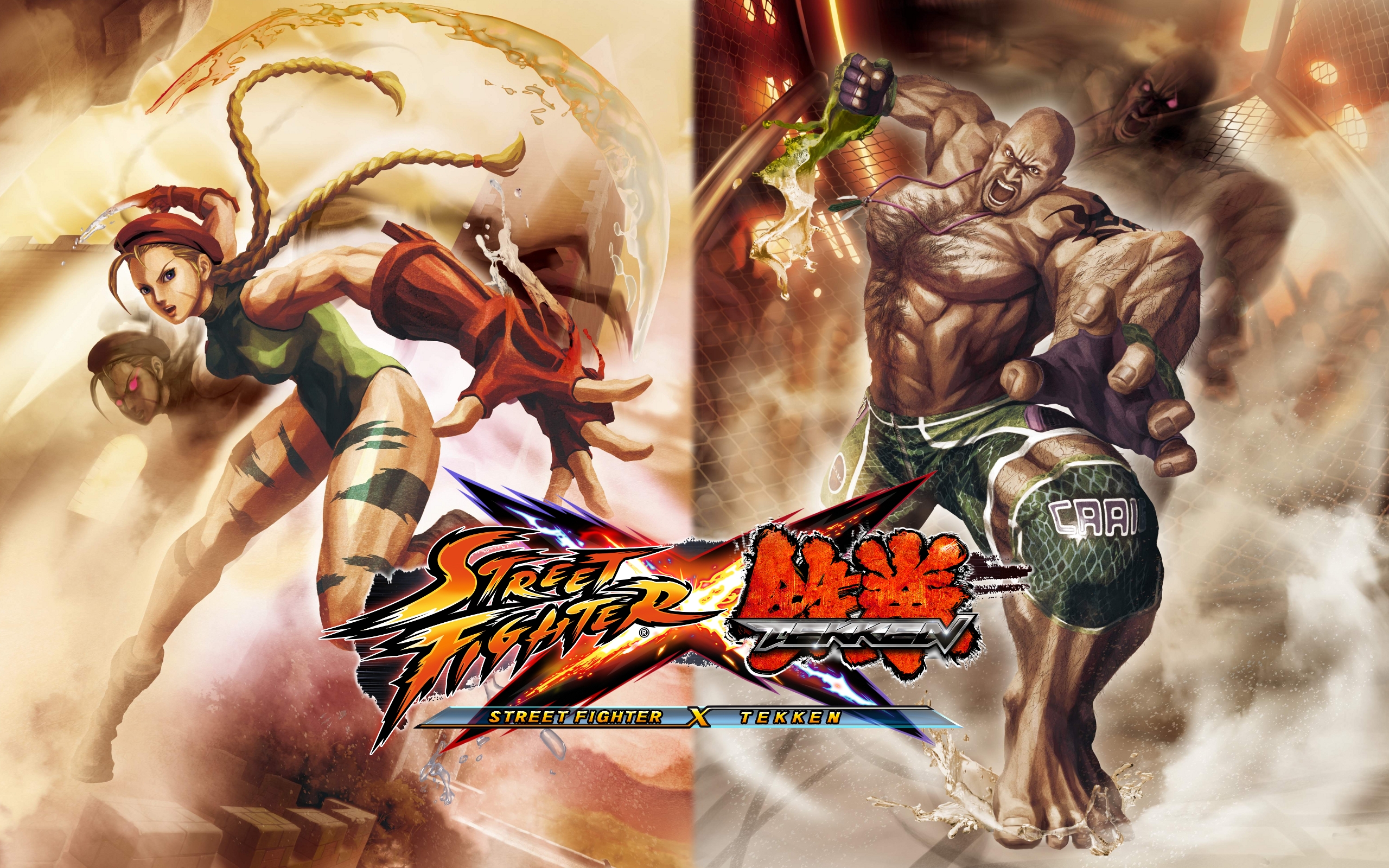 Video Game Street Fighter X Tekken 2560x1600